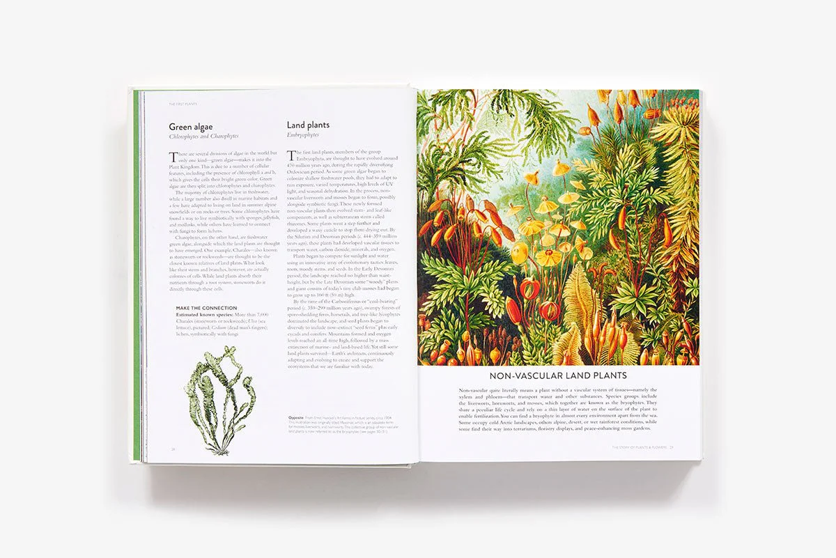 Botanical Bible - Image 2