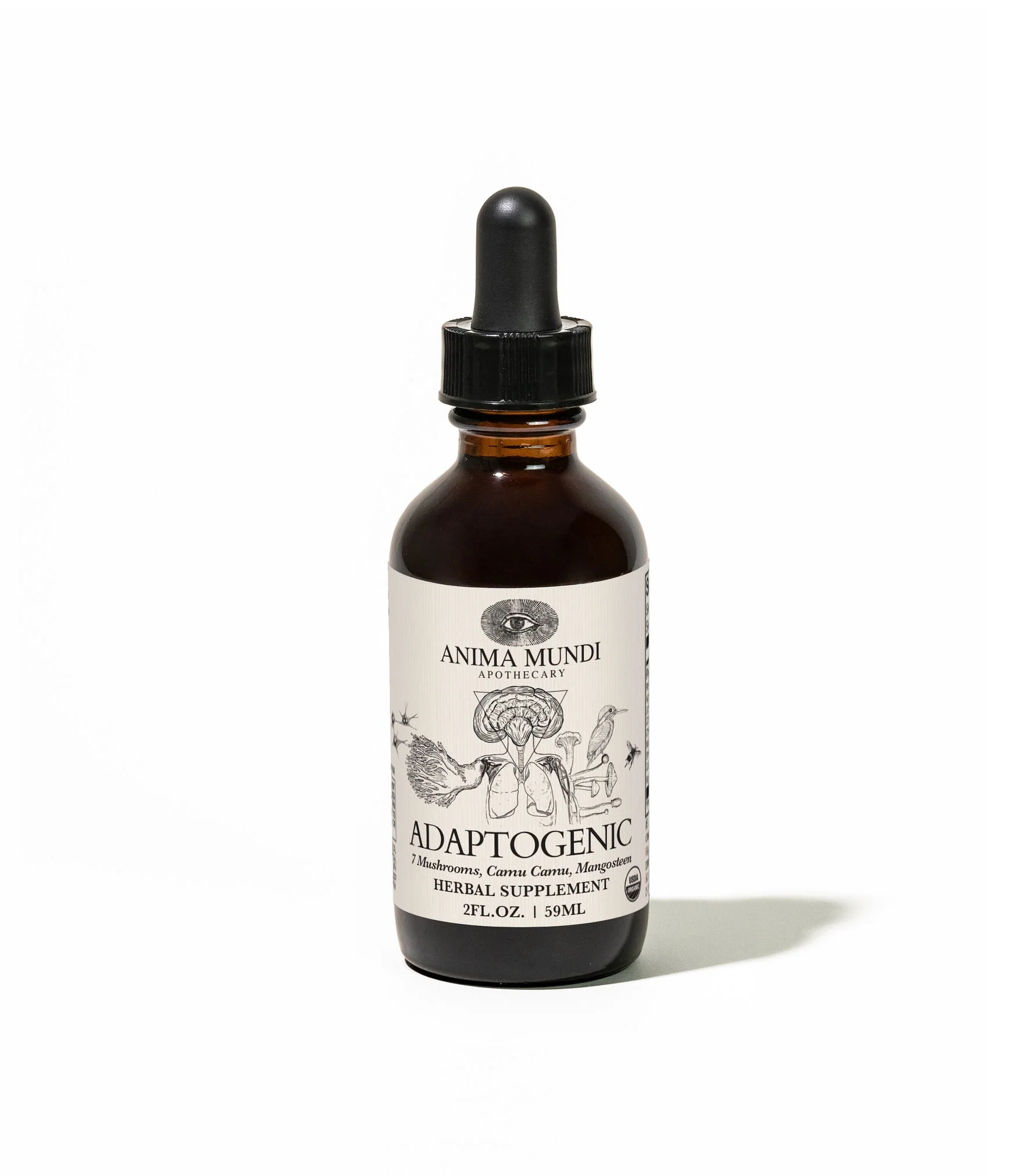 Organic Adaptogenic Tonic | 7 Mushrooms, Camu Camu, Mangosteen - Image 5