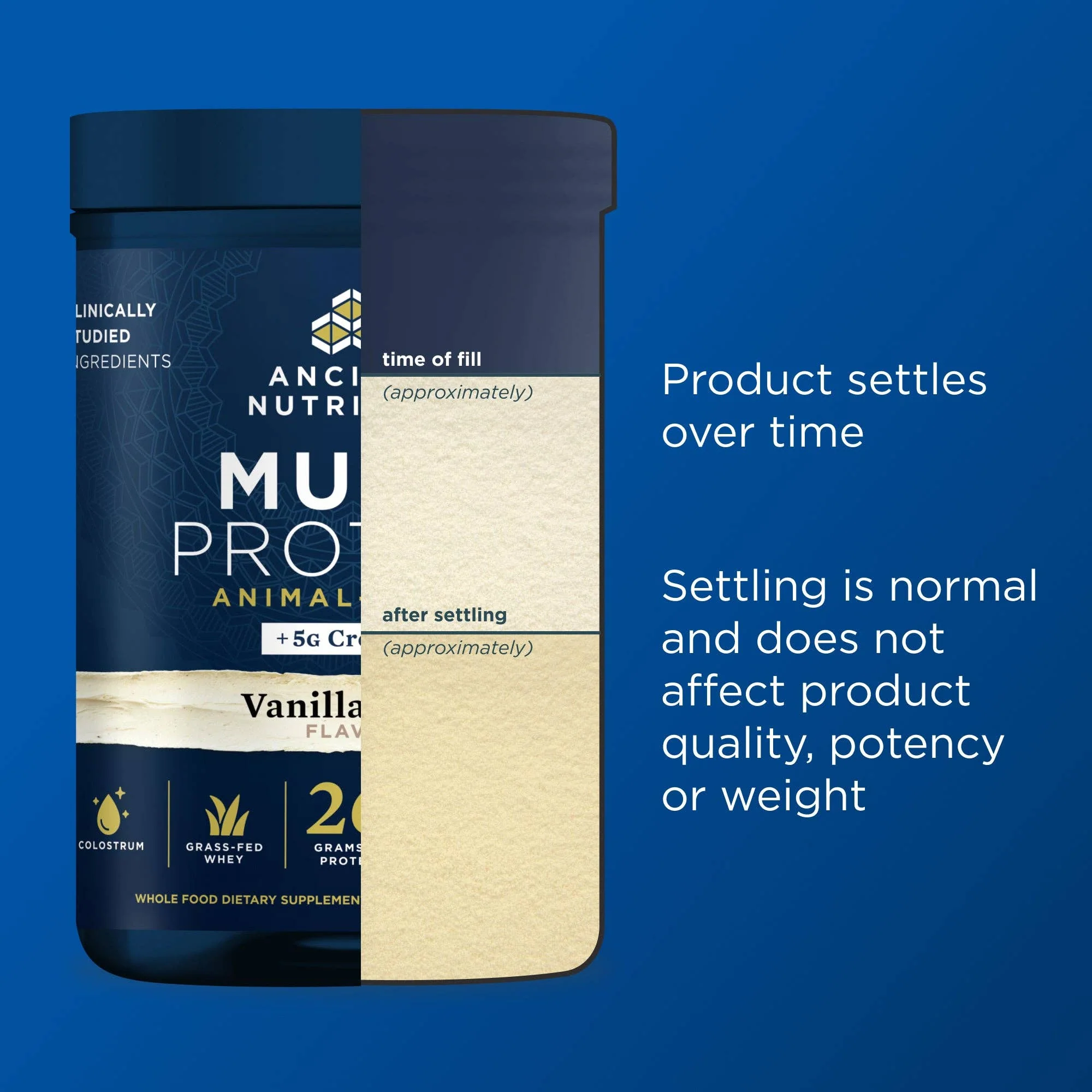 Multi Protein + Creatine | Powder Vanilla Bean - Image 11