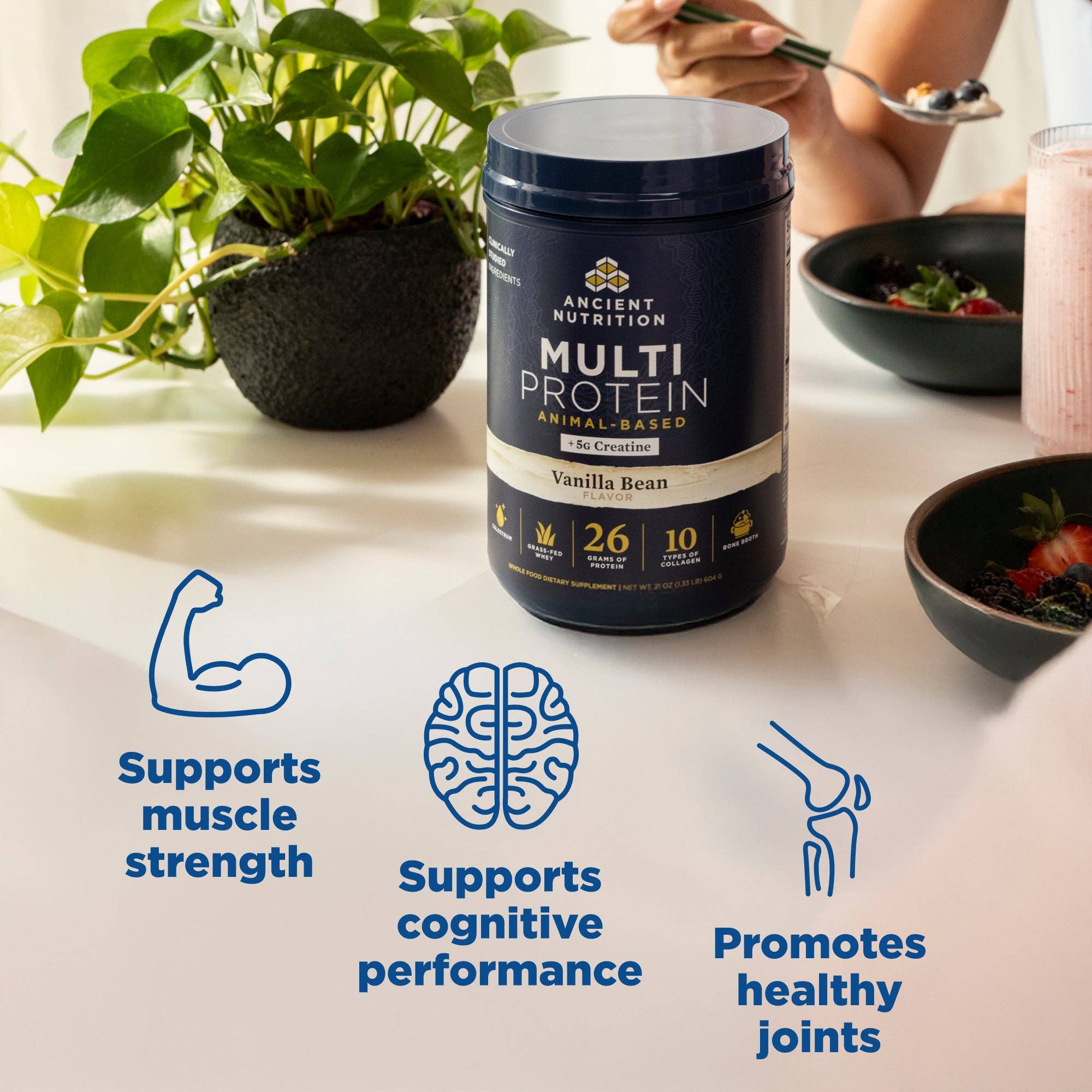 Multi Protein + Creatine | Powder Vanilla Bean - Image 7