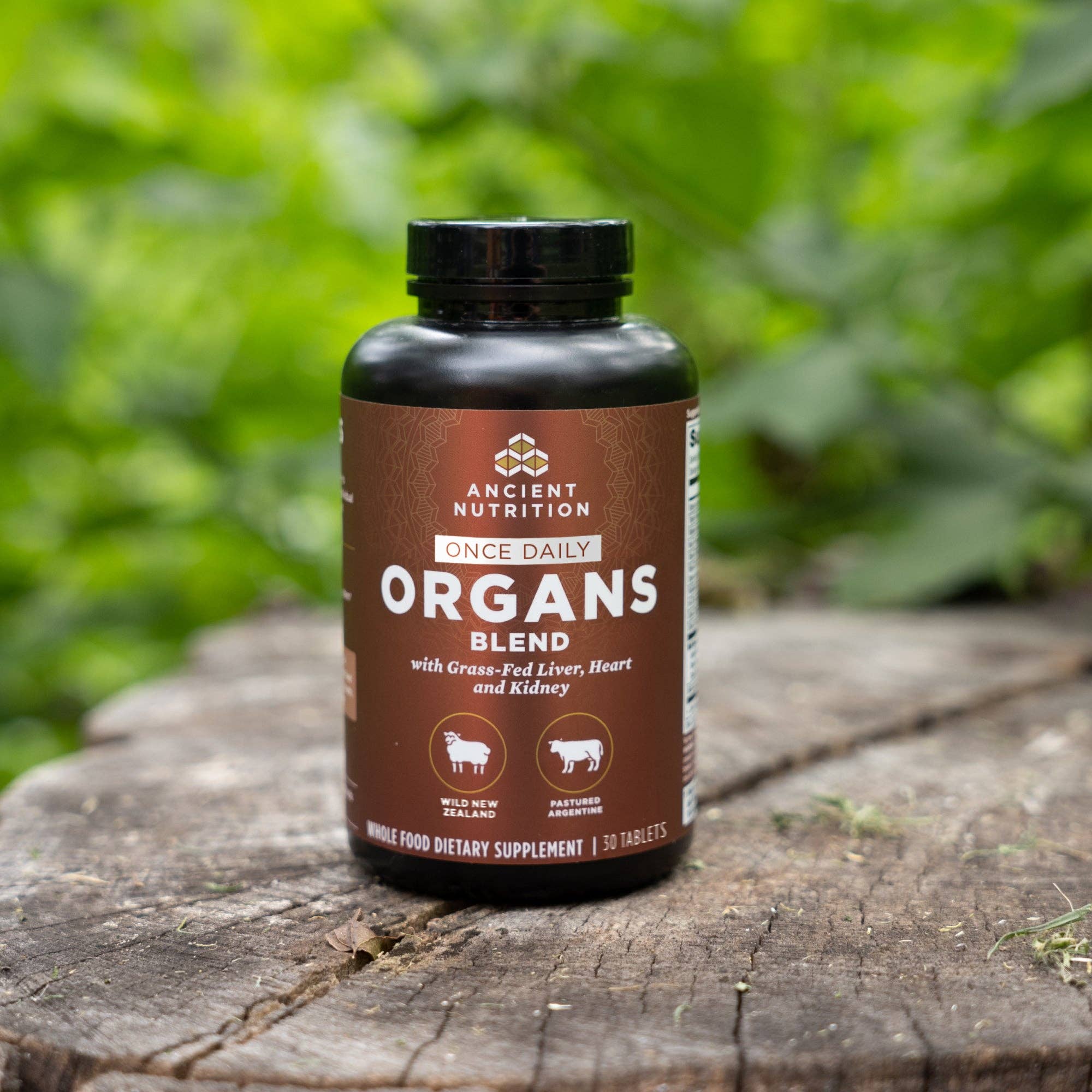 Organs Blend Once Daily - Image 4