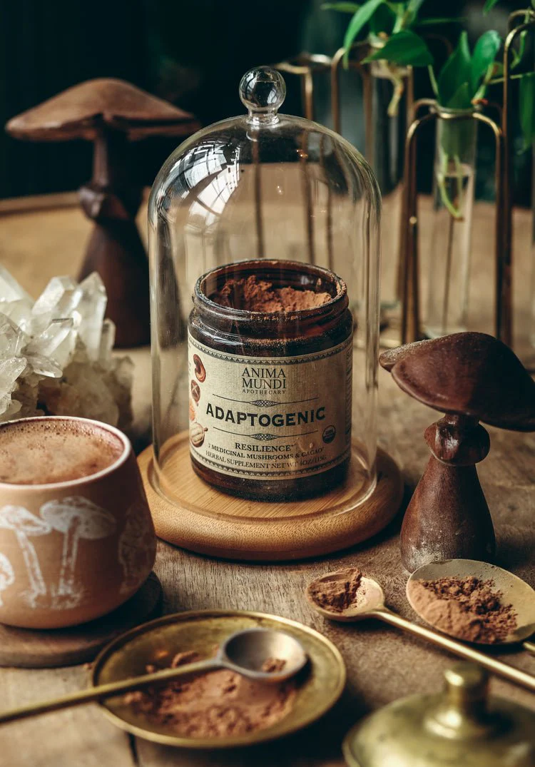 ADAPTOGENIC Powder | Organic, 7 Medicinal Mushrooms + Cacao - Image 4