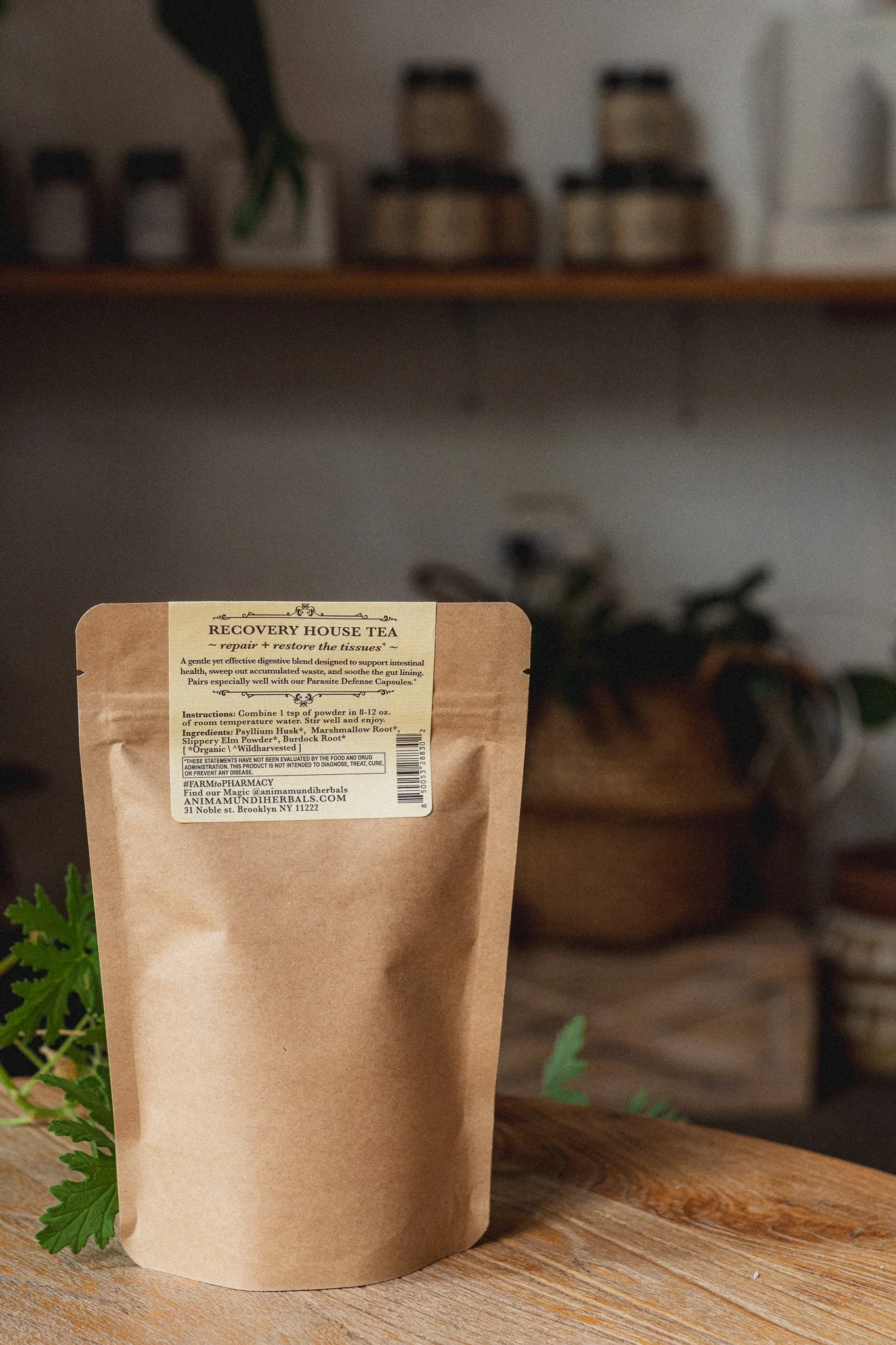 GUT SWEEP | Intestinal Love, Parasite Support Tea - Image 4