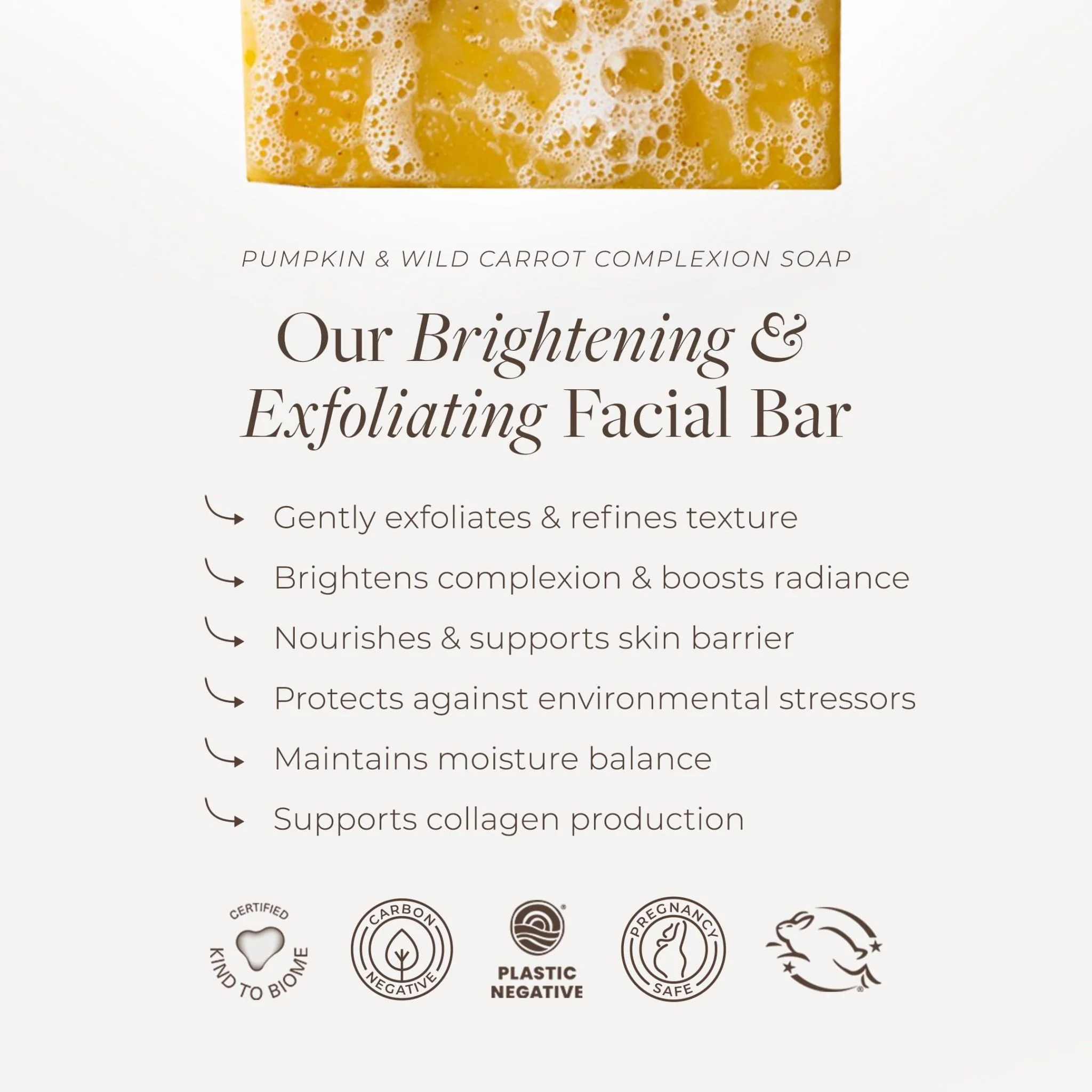 Pumpkin & Wild Carrot Brightening Cleanser - Image 4