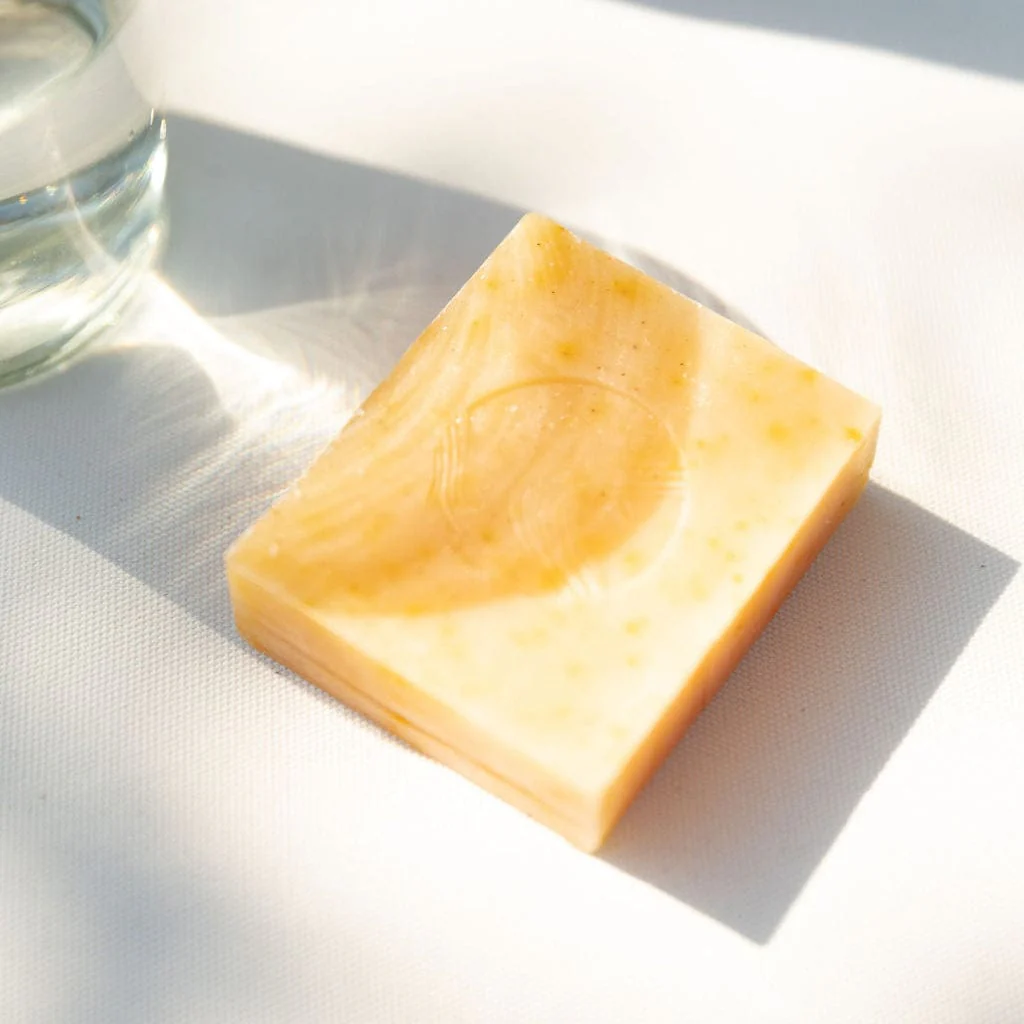 Pumpkin & Wild Carrot Brightening Cleanser - Image 7