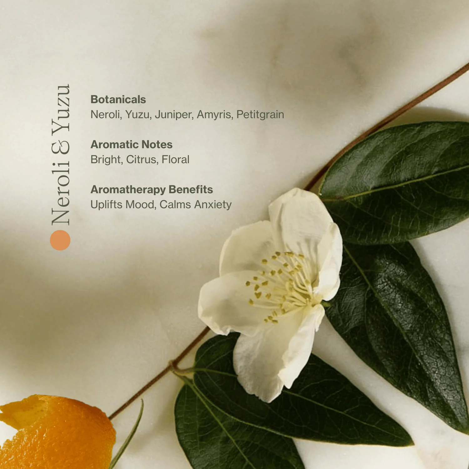 Vitamin C Body Oil - Image 6