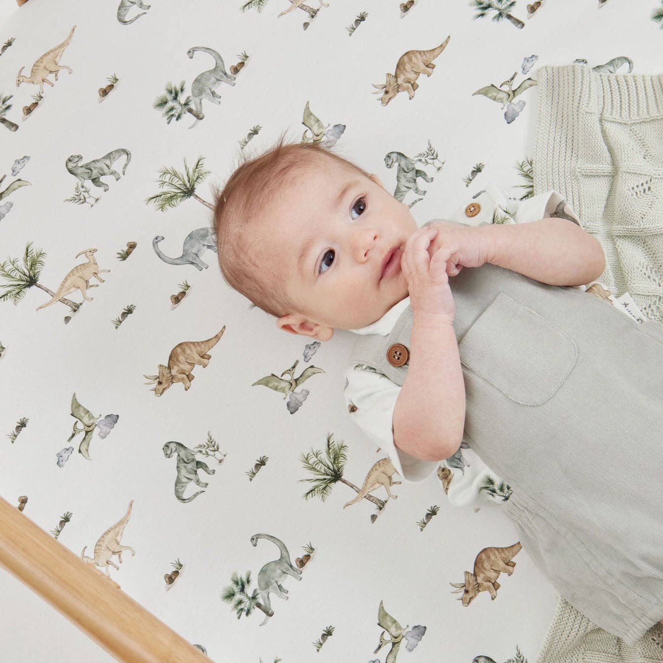 Dinosaur Organic Cot Sheet - Image 3