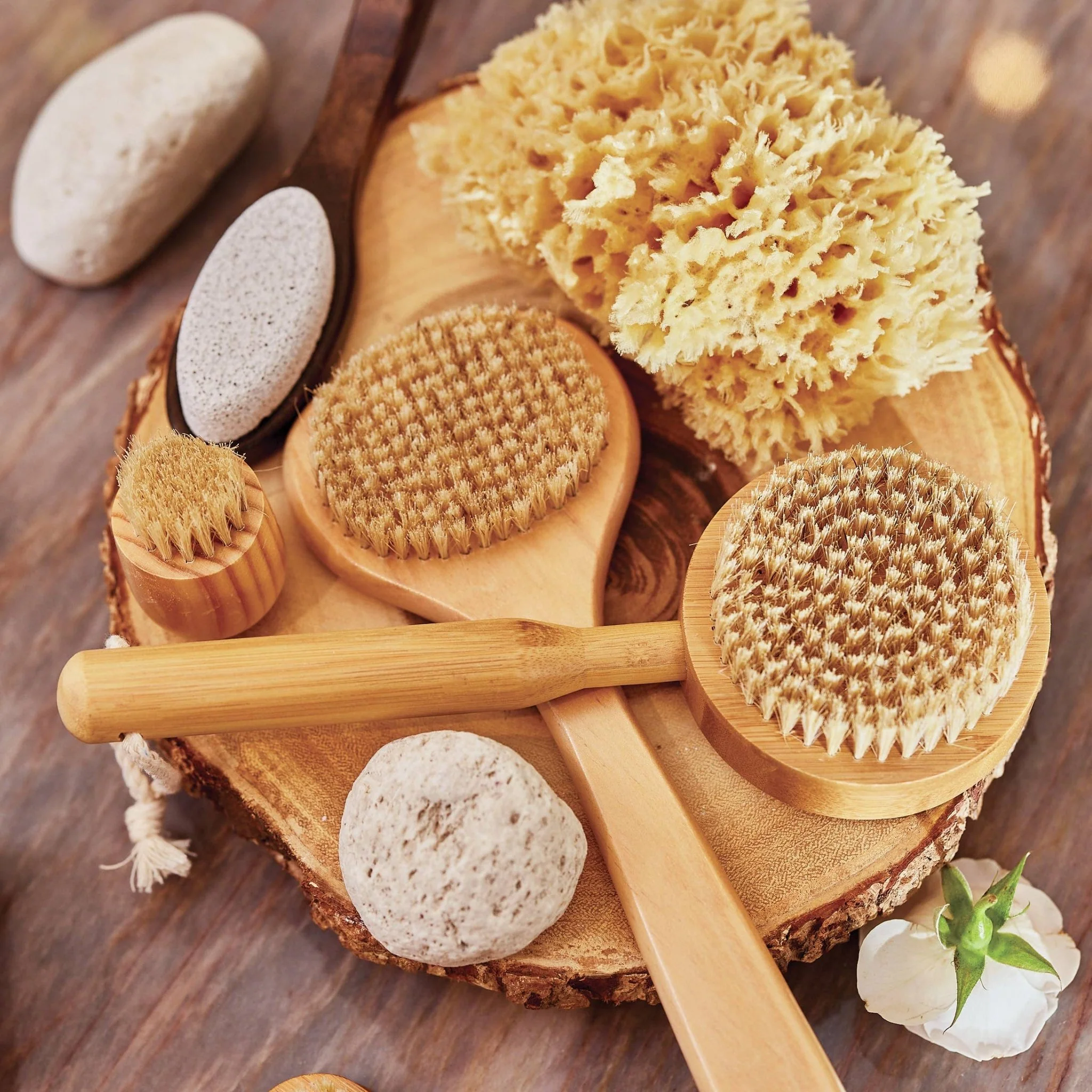 Bath Sea Sponge - Image 3