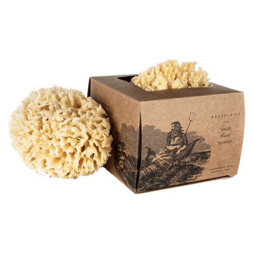 Bath Sea Sponge - Image 6