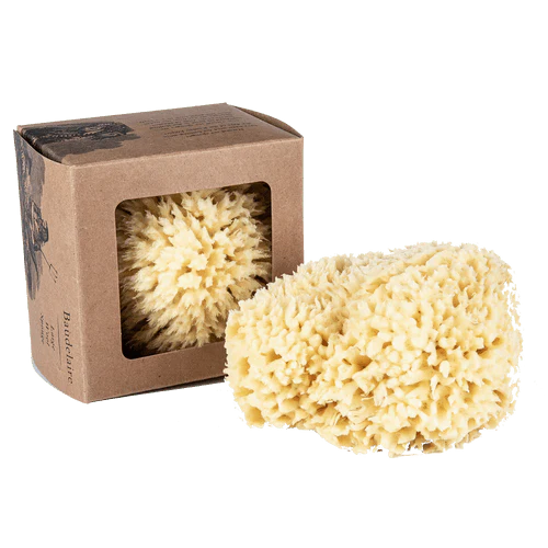 Bath Sea Sponge - Image 7