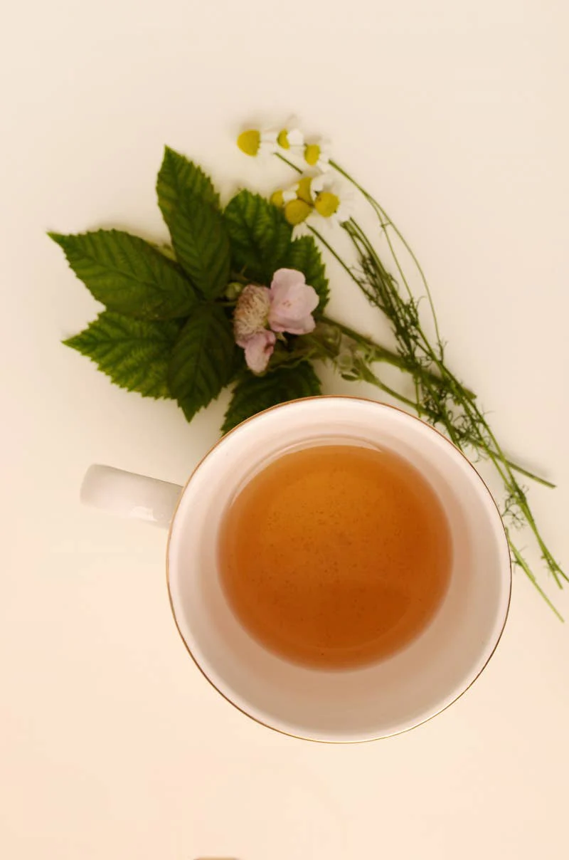 Celestial Rest Sleep Tea | Stress & Anxiety - Image 4
