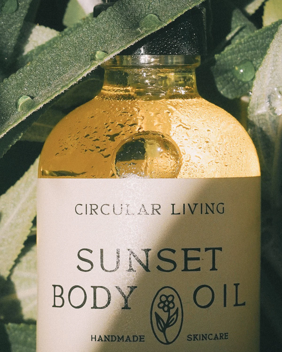 Sunset Body Oil | Clary Sage & Vetiver - Image 5