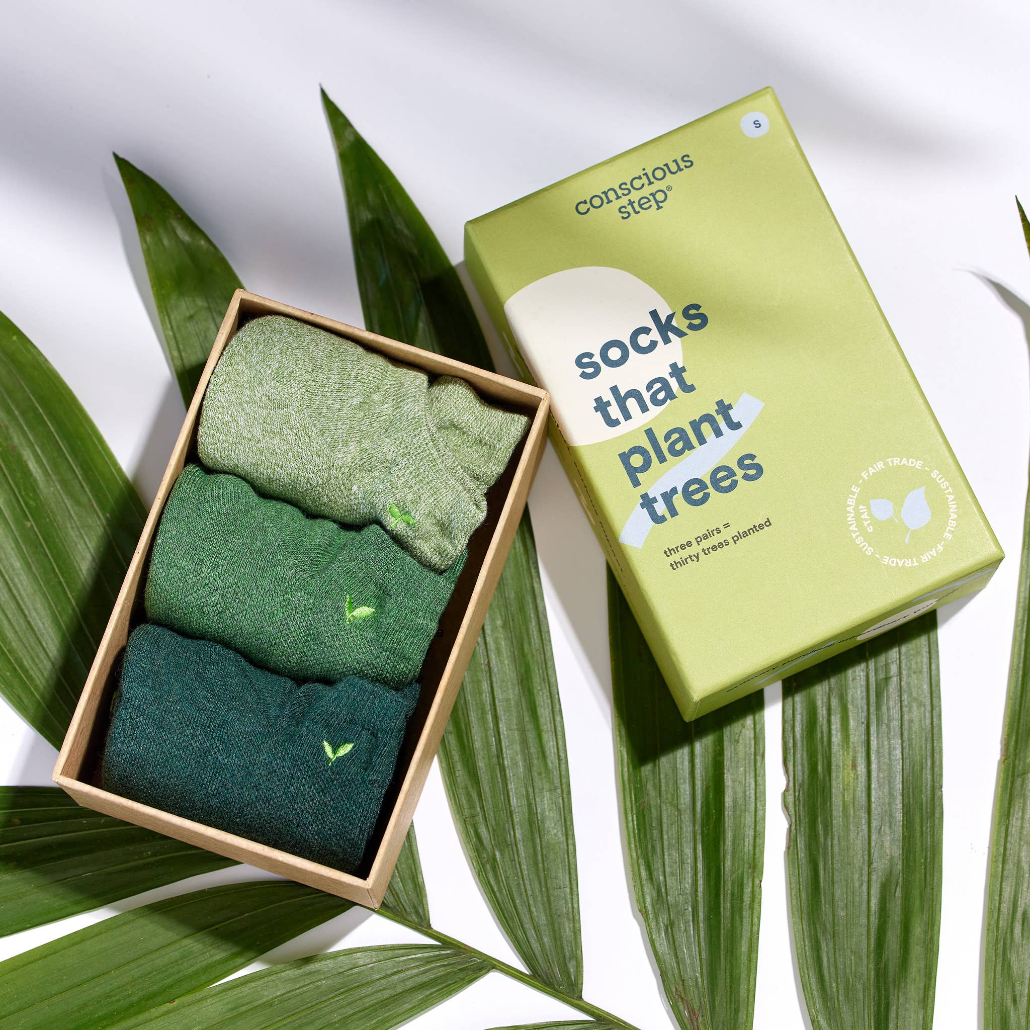 Ankle Socks that Plant Trees | Boxed Set - Image 3