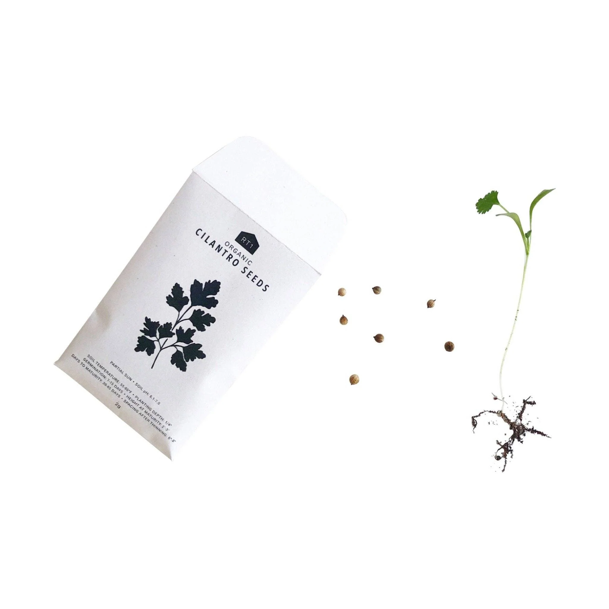 Culinary Herb Seeds V1 I Pack of 5 - Image 3