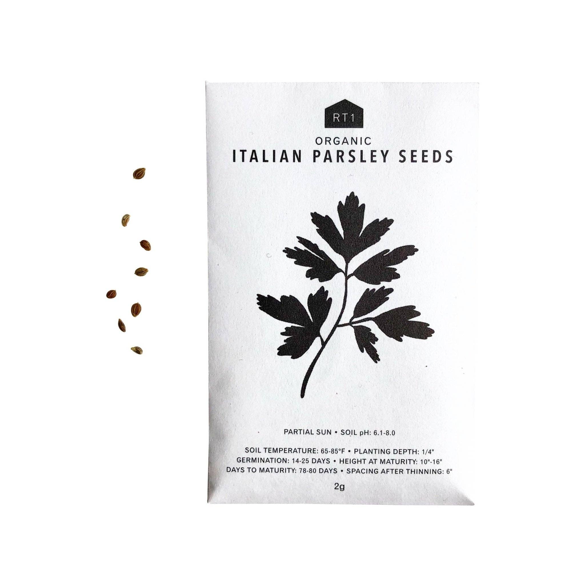 Culinary Herb Seeds V1 I Pack of 5 - Image 4