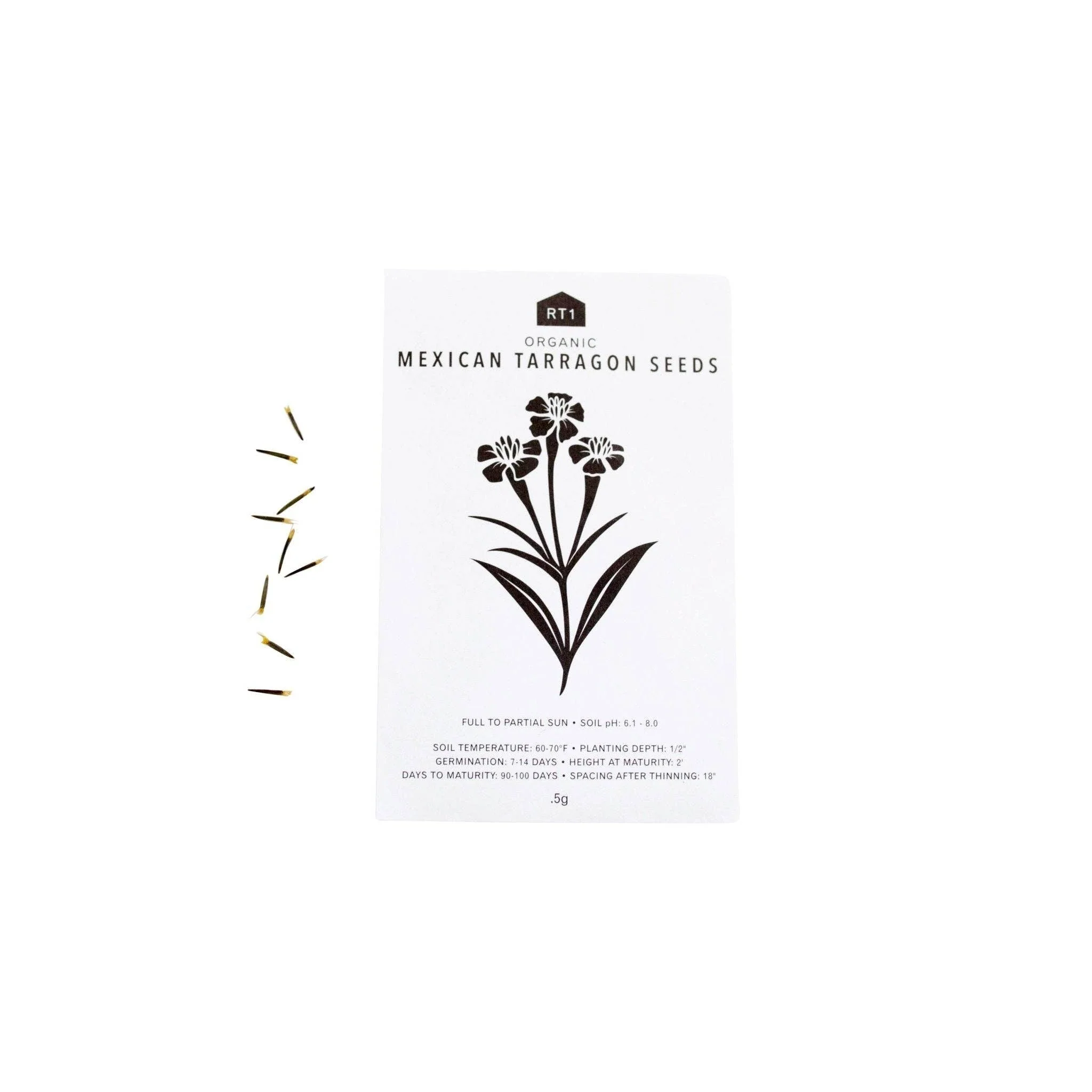 Culinary Herb Seeds V2 I Pack of 5 - Image 3
