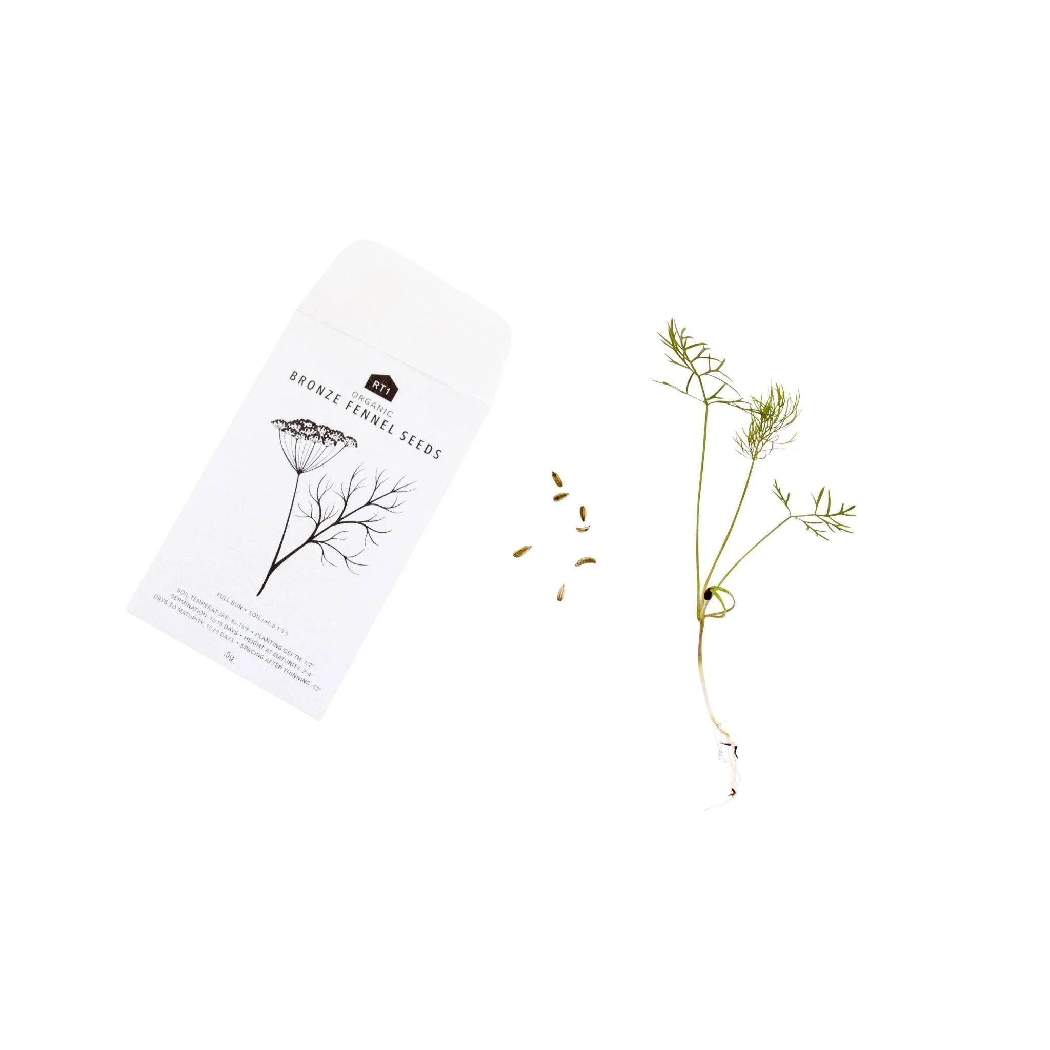 Culinary Herb Seeds V2 I Pack of 5 - Image 4