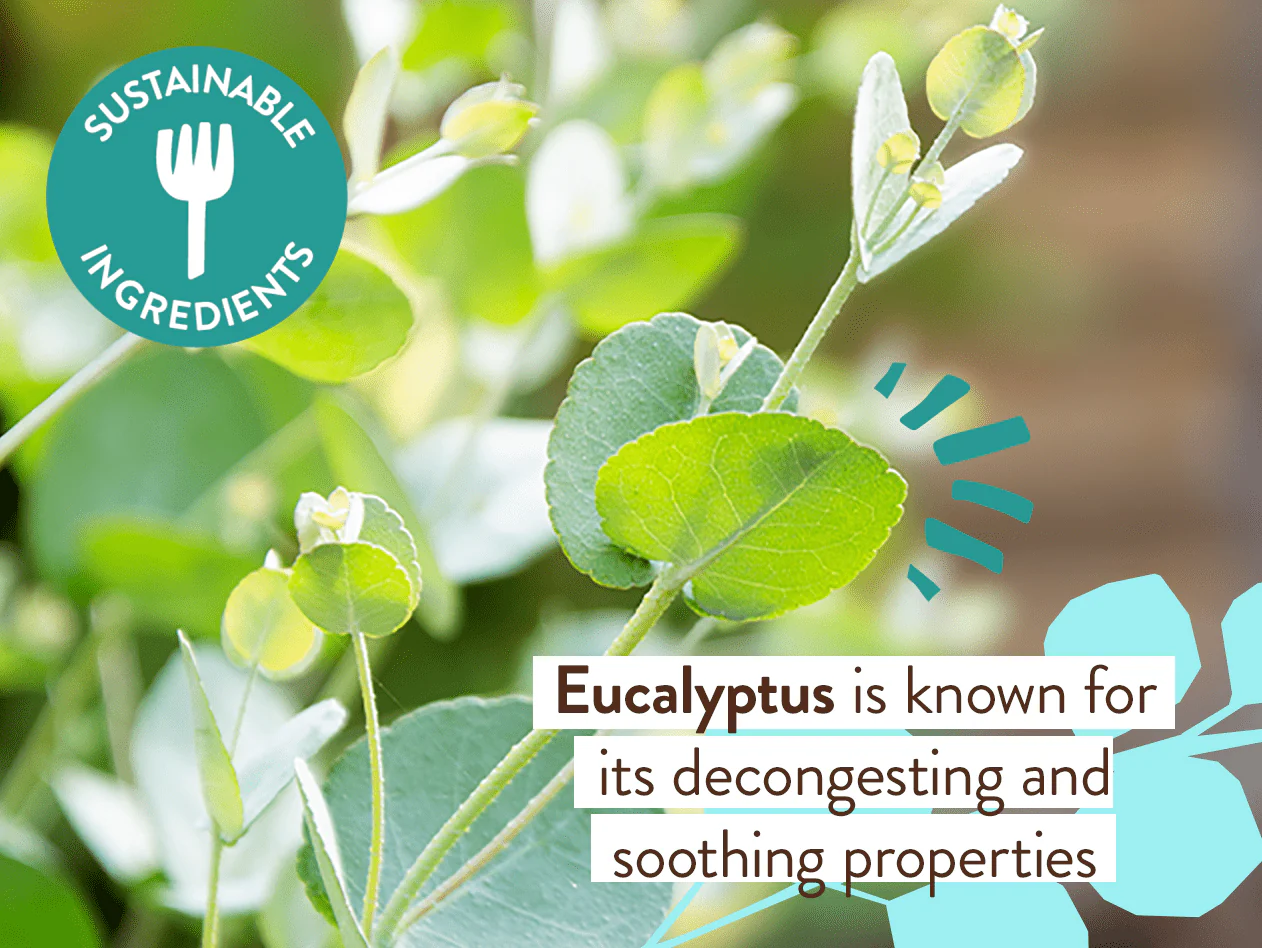 Eucalyptus Remedy Organic Soothing Chest Rub - Image 7