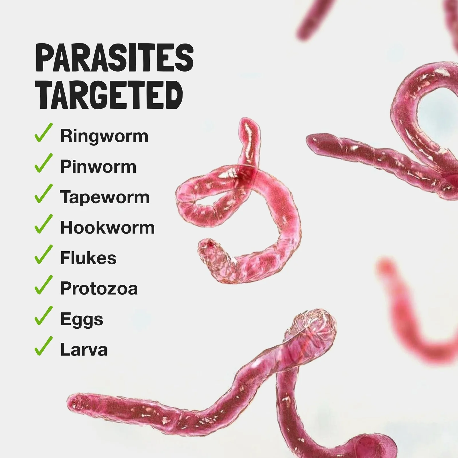 Children's Parasite Formula - Image 5