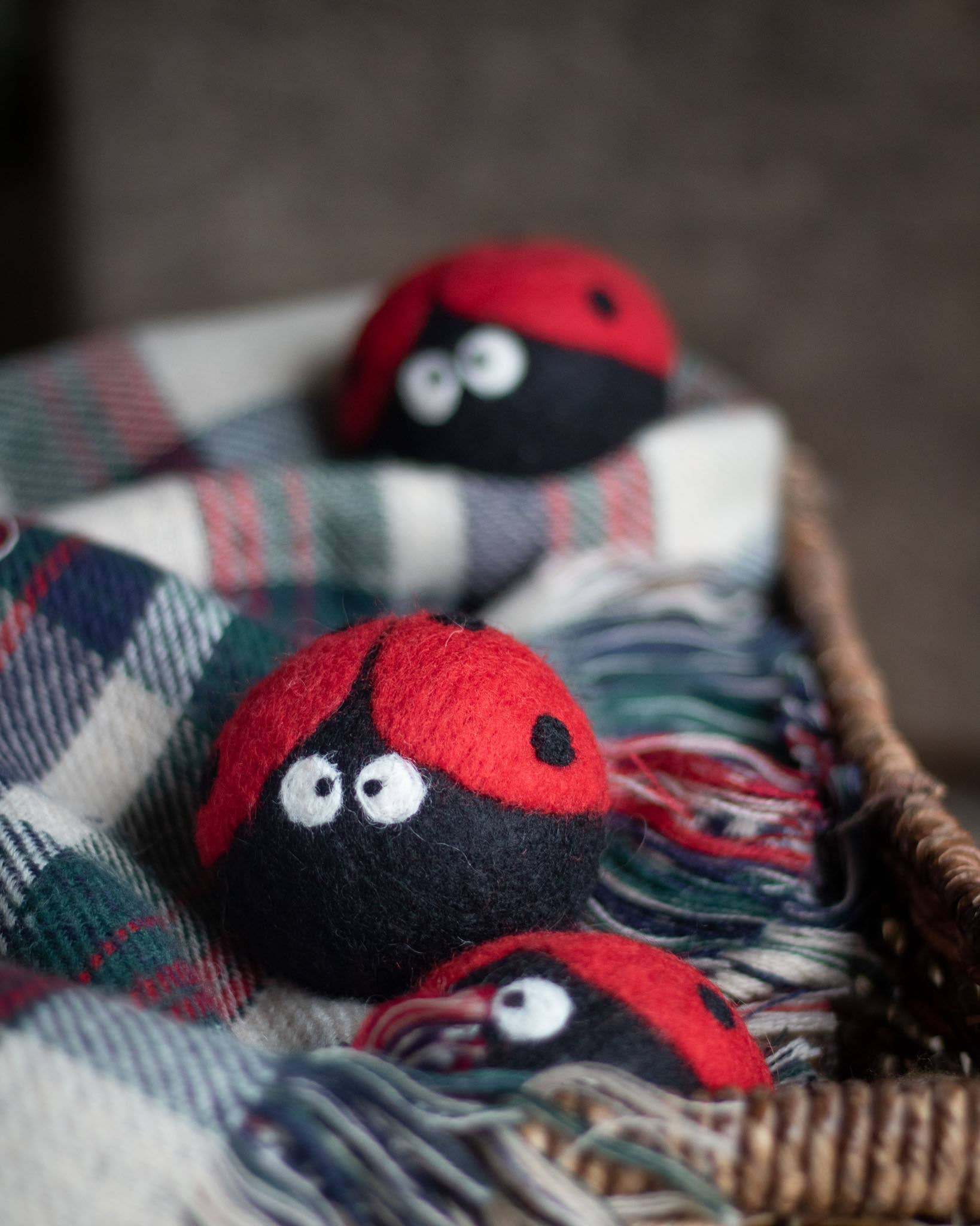 Ladybug Eco Dryer Ball - Image 4