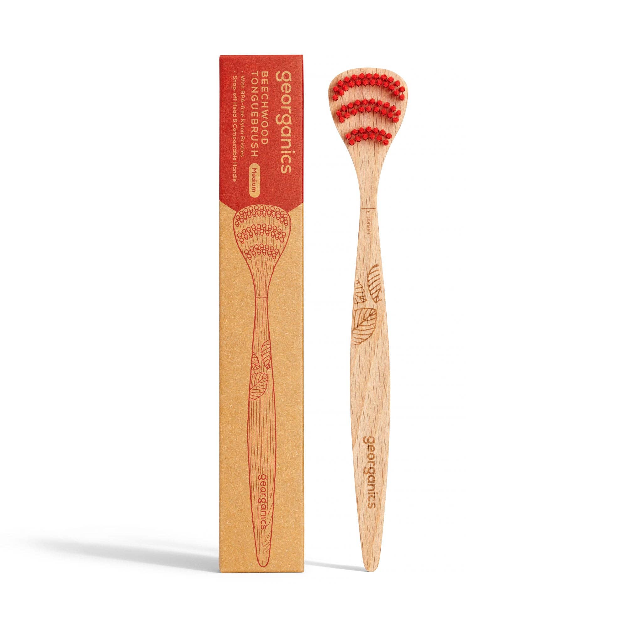 Beechwood Tonguebrush - Image 2