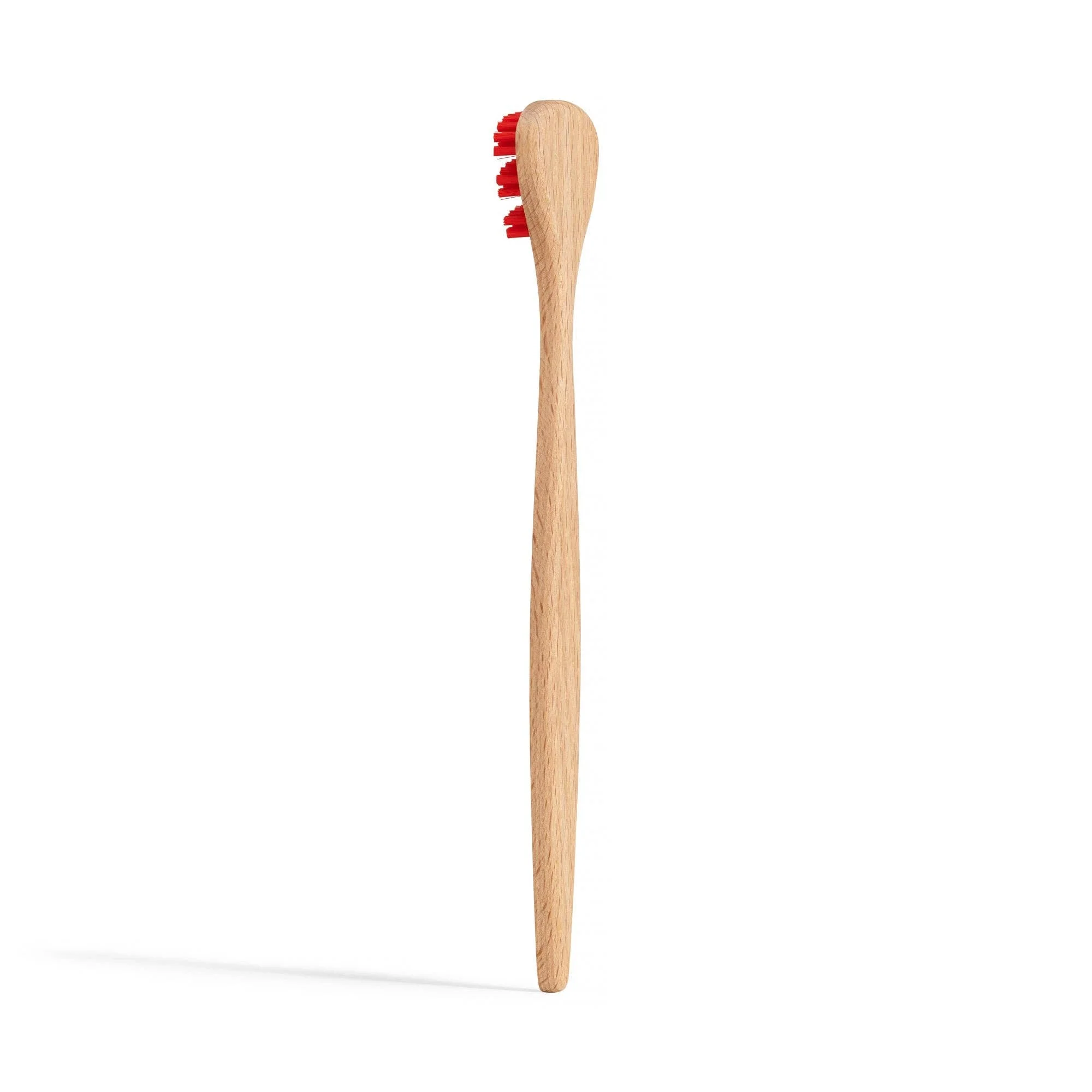Beechwood Tonguebrush - Image 4