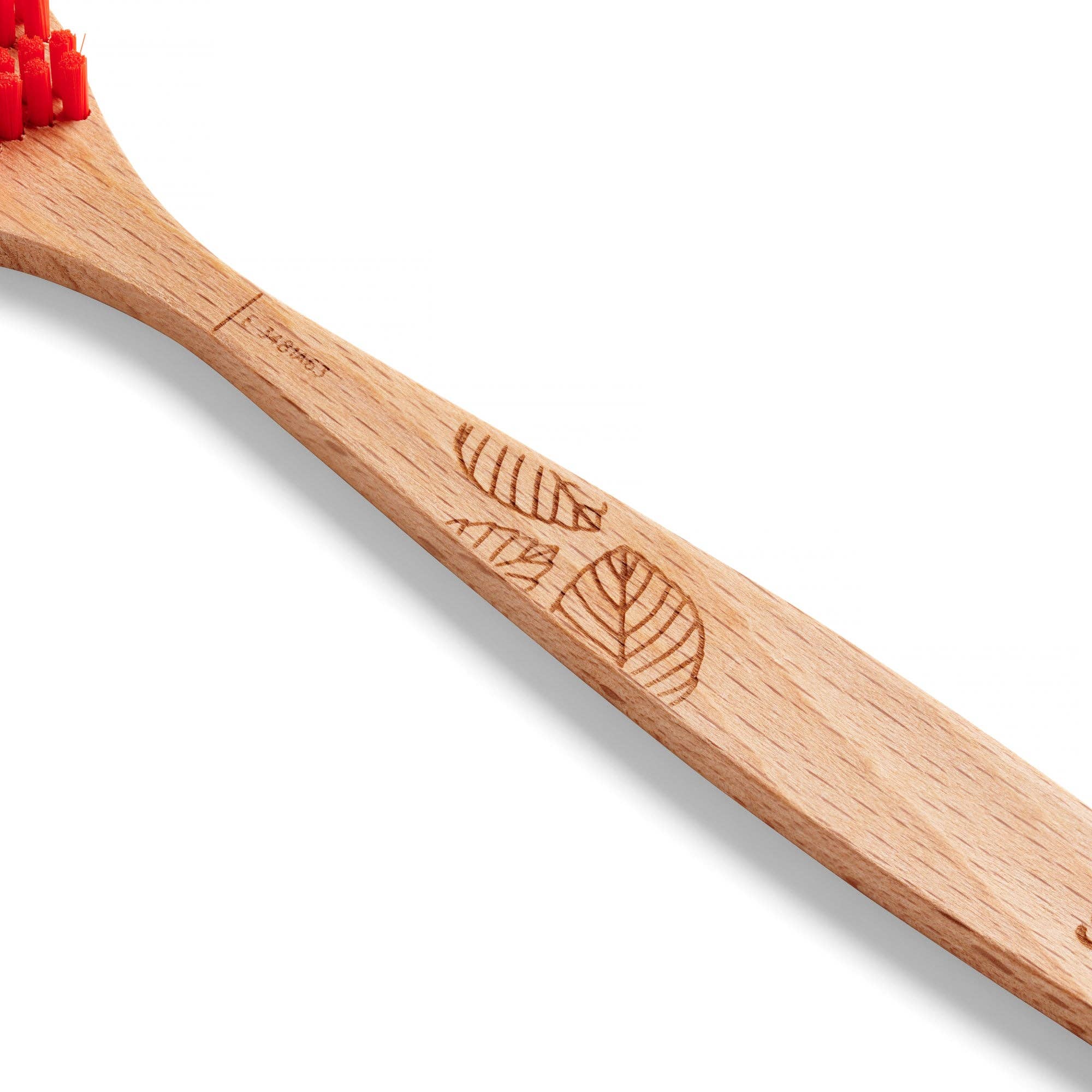 Beechwood Tonguebrush - Image 5