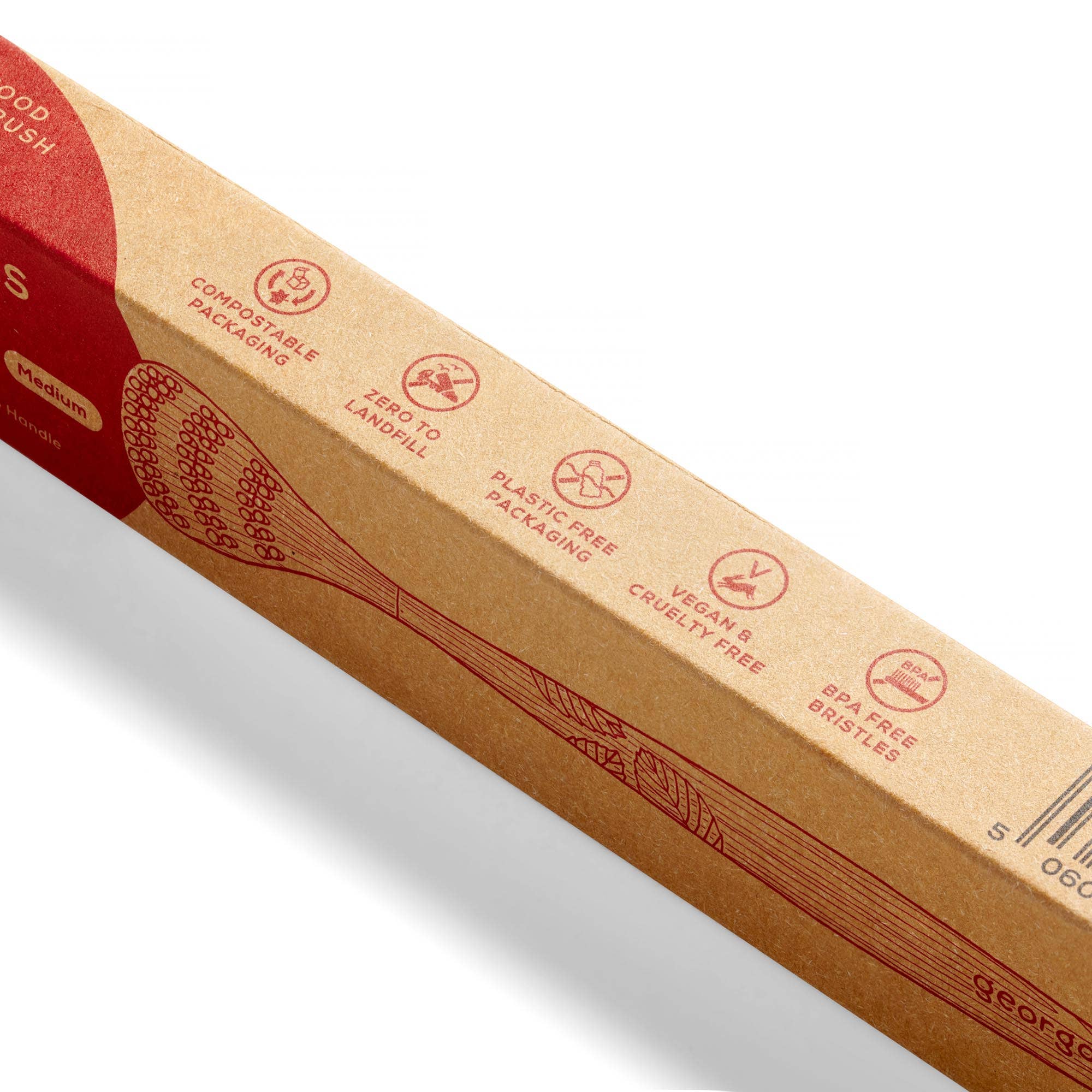 Beechwood Tonguebrush - Image 6