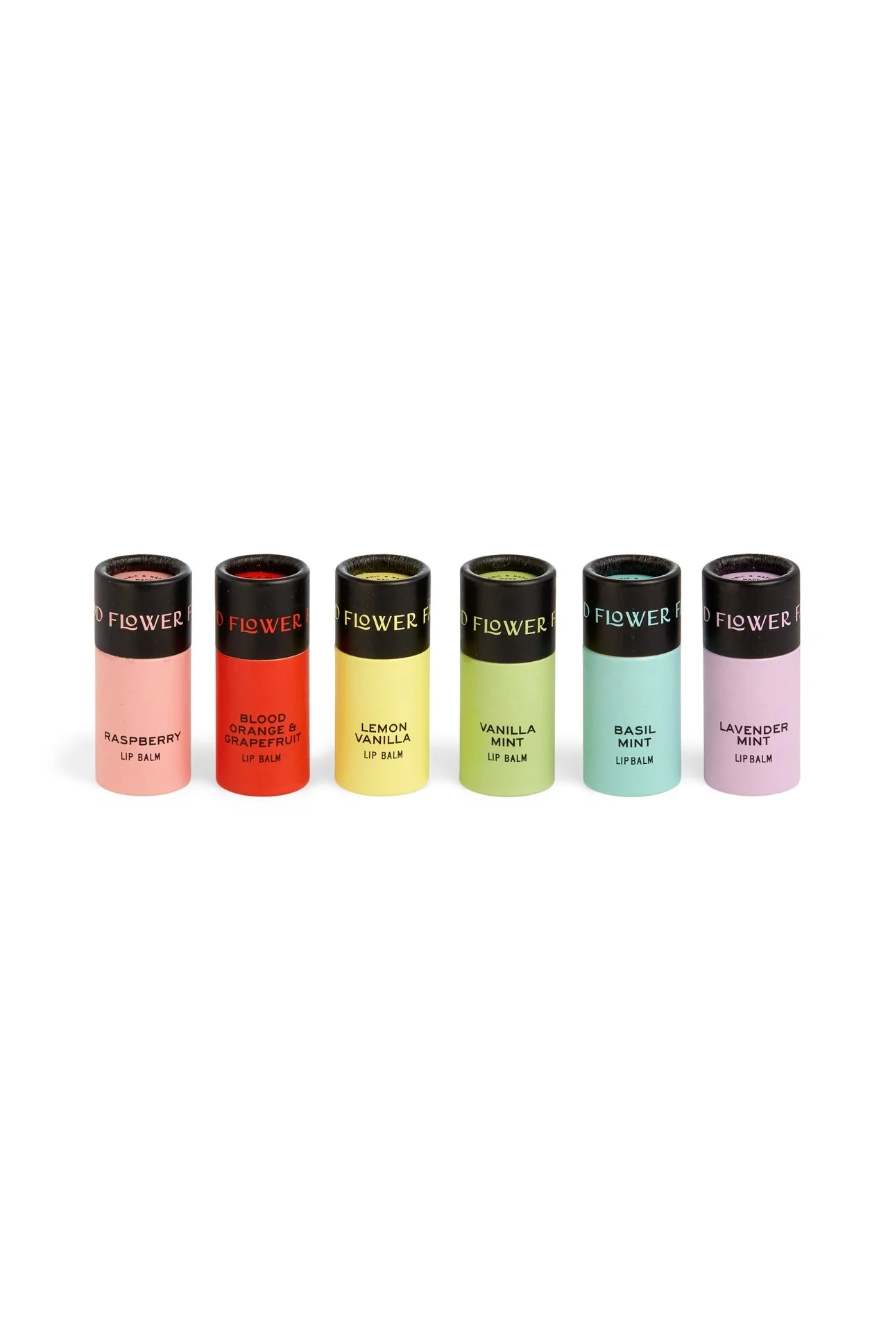 Nourishing Organic Lip Balms - Image 3