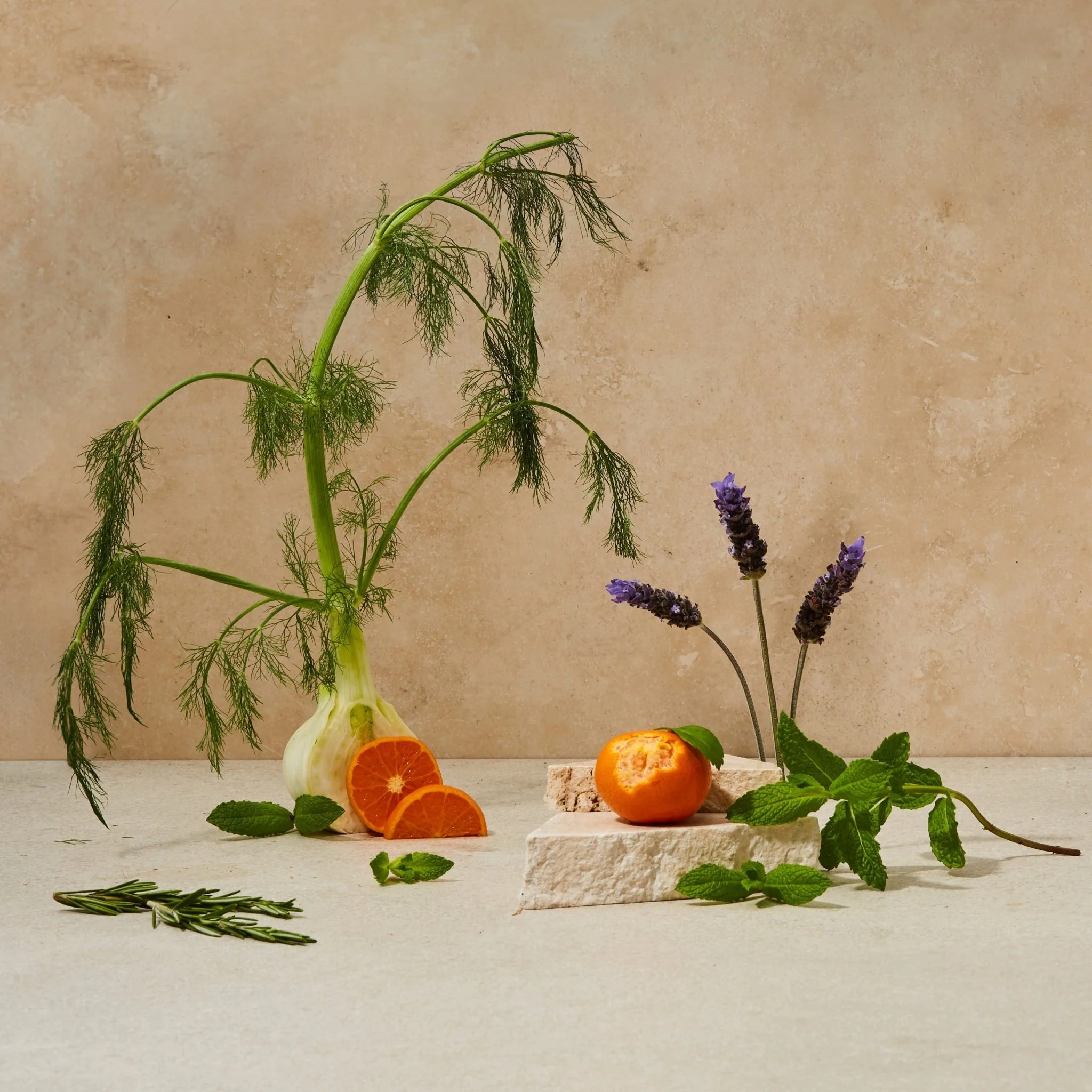 Biodegradable Dish Soap - Image 5