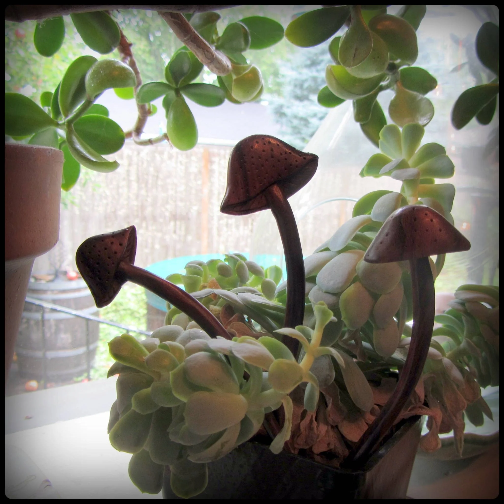 Hand carved wooden mushroom hair stick, the flat version | Medium - Image 4