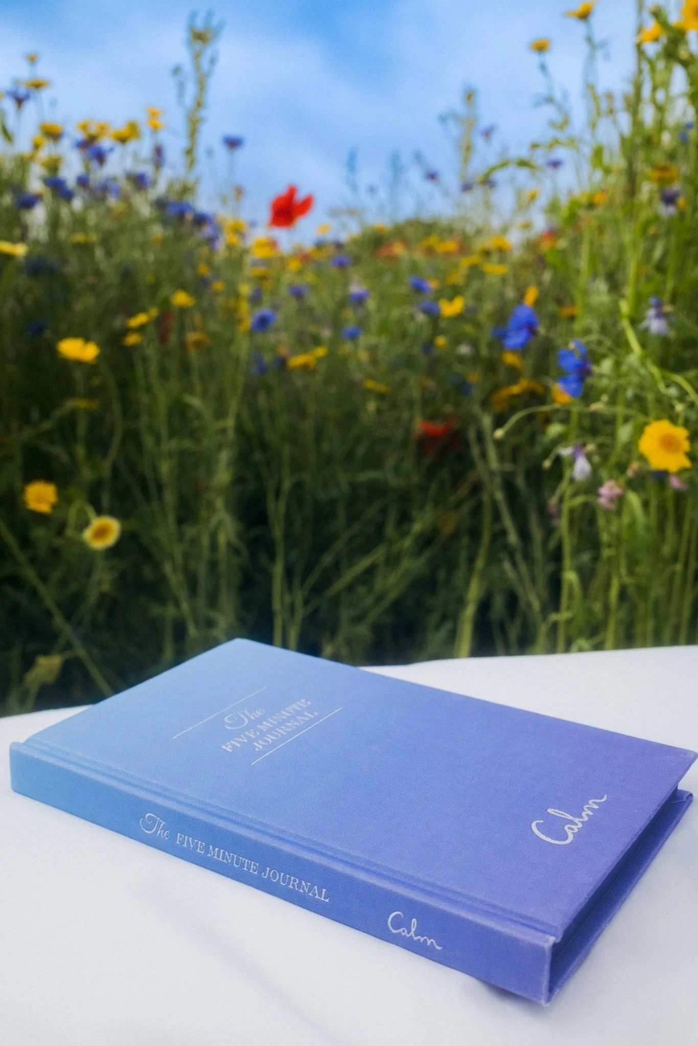 The Five Minute Journal x Calm | Guided Daily Gratitude - Image 5
