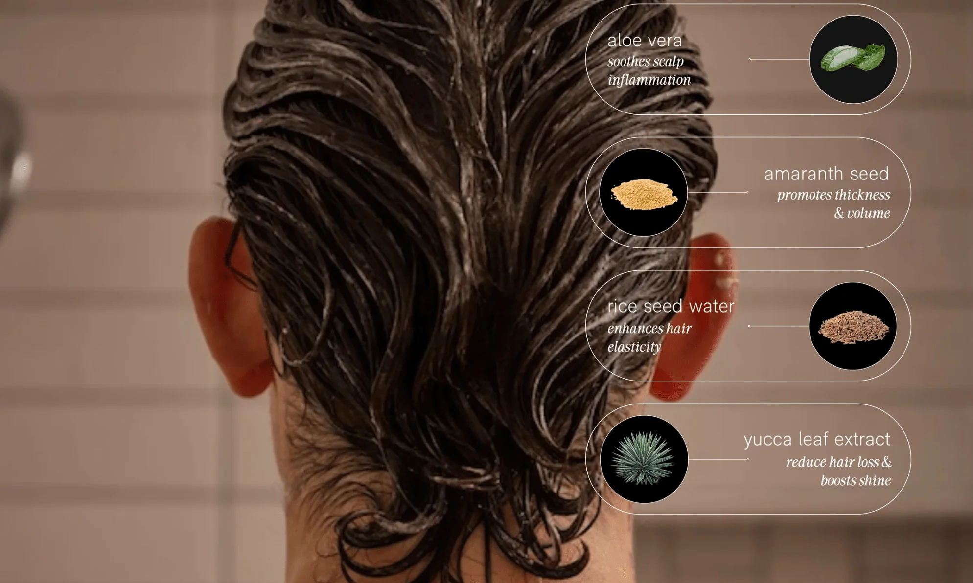 Conditioner - Image 2
