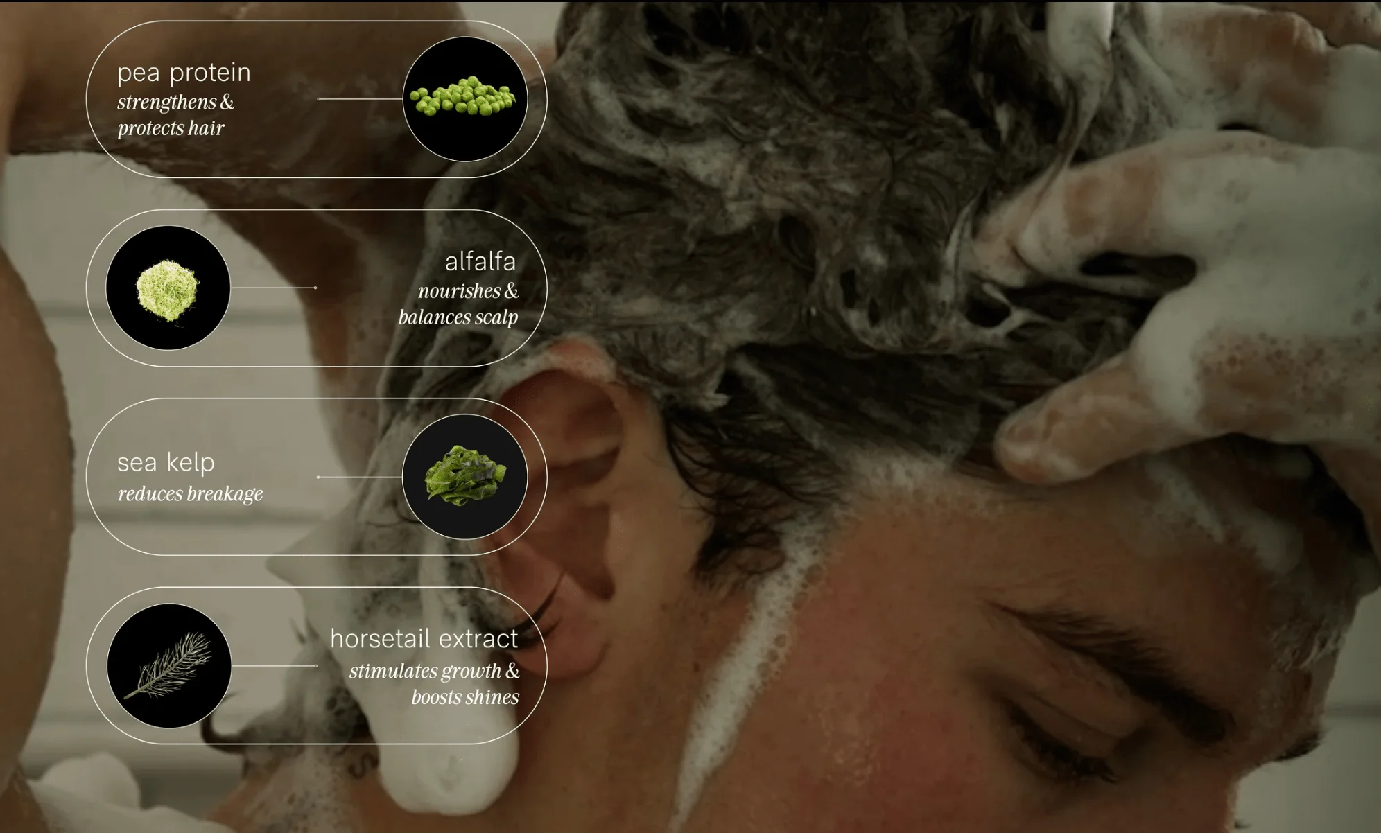 Creamy Shampoo - Image 2