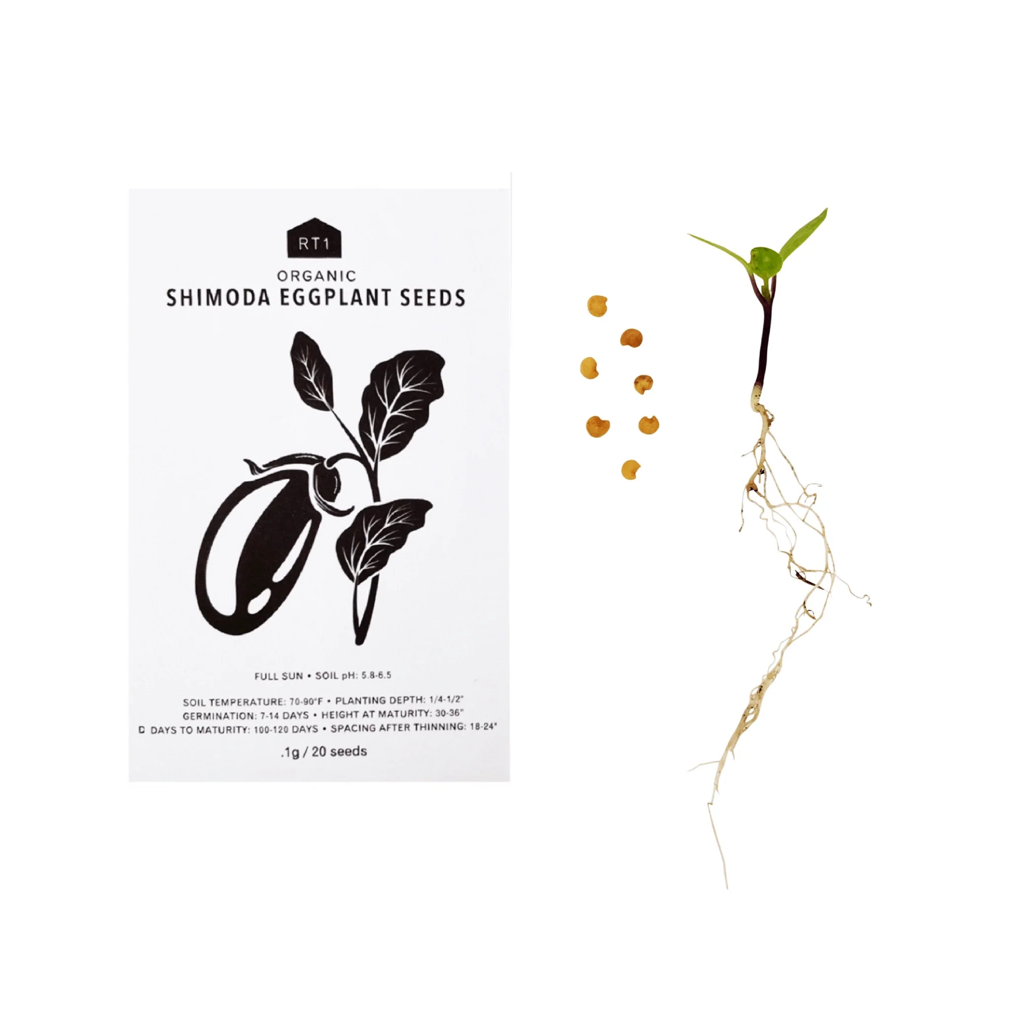 Japanese Spring Vegetable Seeds | Pack of 5 - Image 3