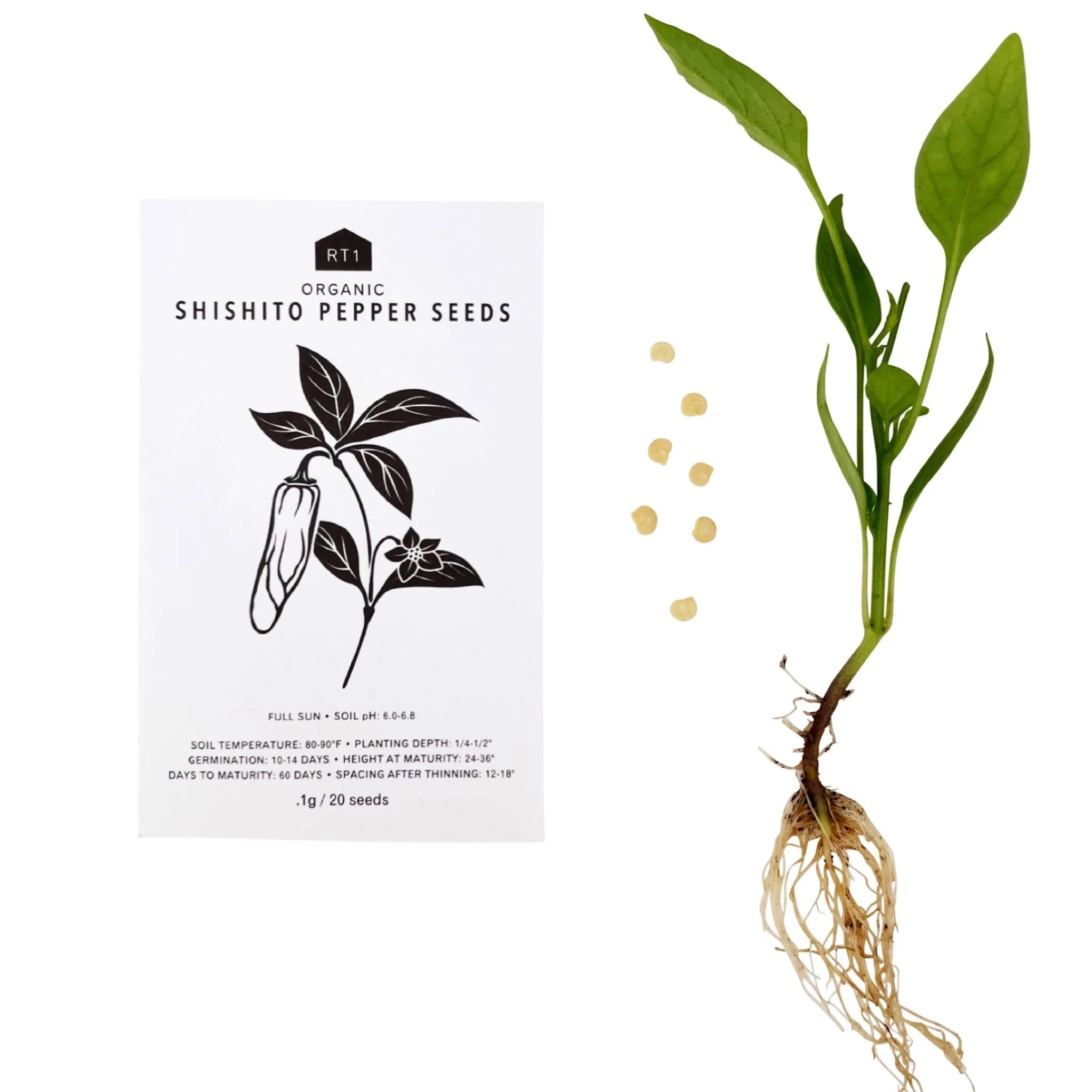 Japanese Spring Vegetable Seeds | Pack of 5 - Image 4