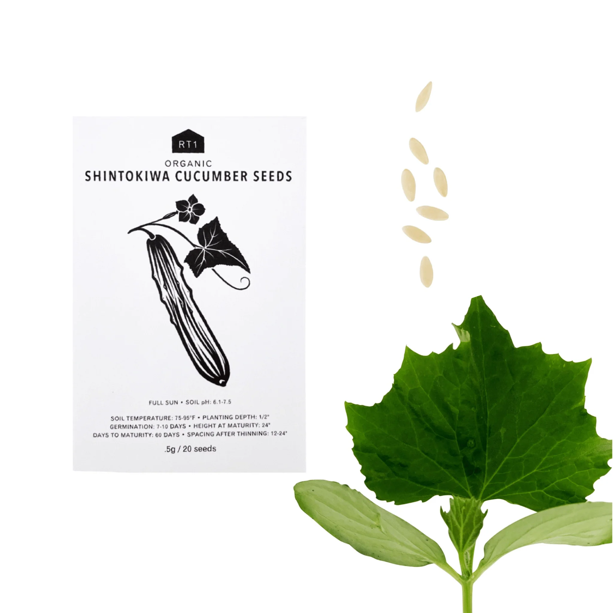 Japanese Spring Vegetable Seeds | Pack of 5 - Image 5