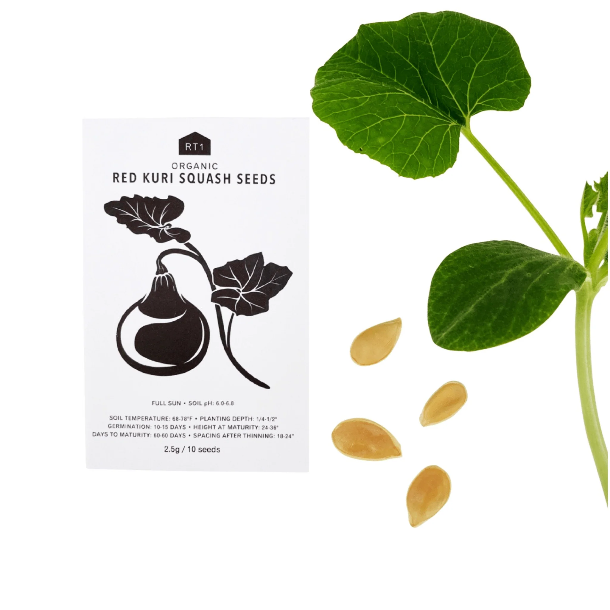 Japanese Spring Vegetable Seeds | Pack of 5 - Image 6