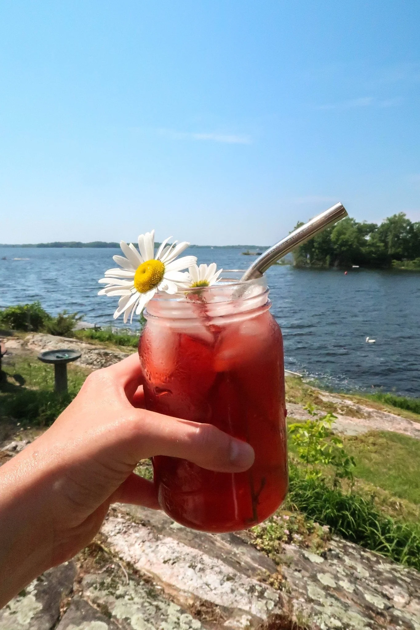 Rose Hibiscus Glow | Superfood Tea Blend - Image 4