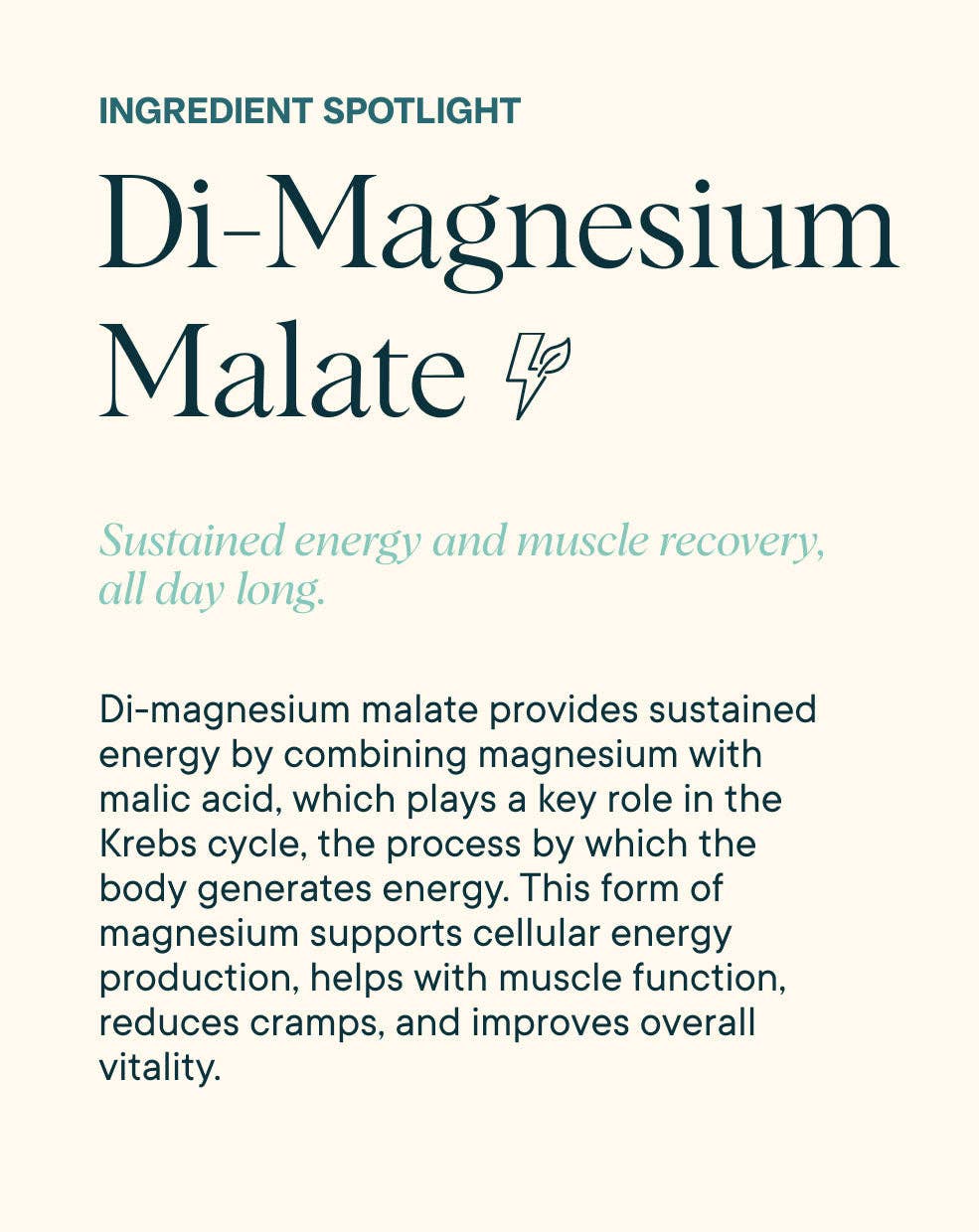 Magnificent | 4-in-1 Magnesium Powder Supplement - Image 6