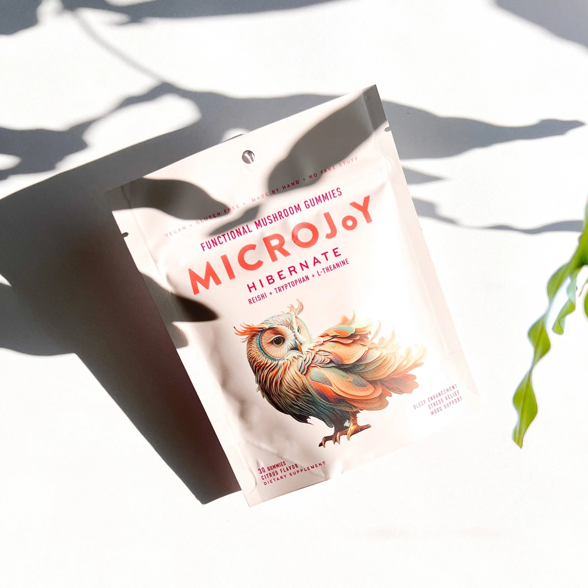 Hibernate Mushroom Gummies - Image 4