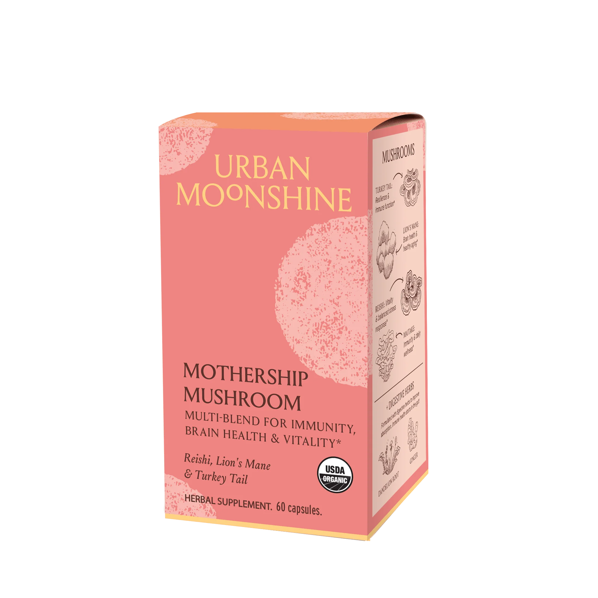 Mothership Mushroom Herbal Capsules - Image 4
