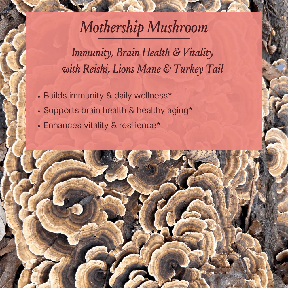 Mothership Mushroom Herbal Capsules - Image 7