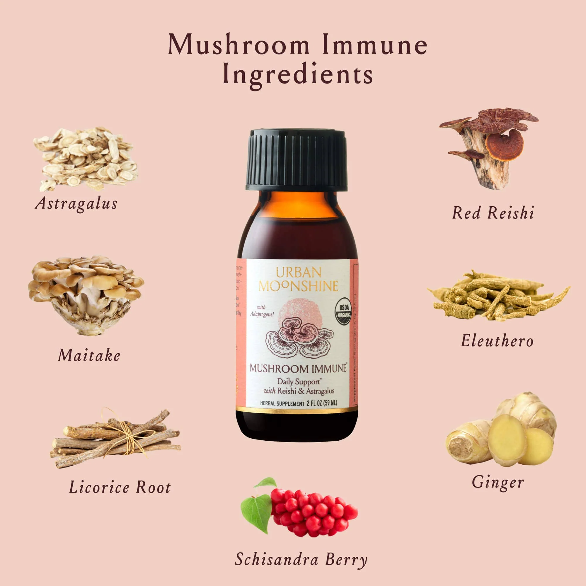Mushroom Immune - Image 3