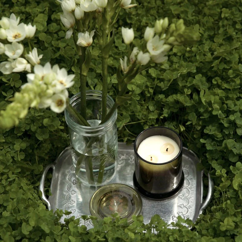 Wild Bergamot Candle - Image 7
