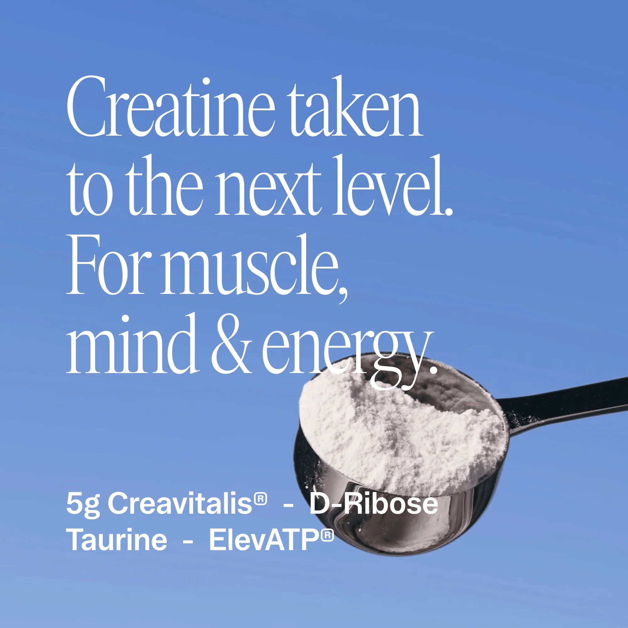 Muscle Memory Creatine Powder - Image 2