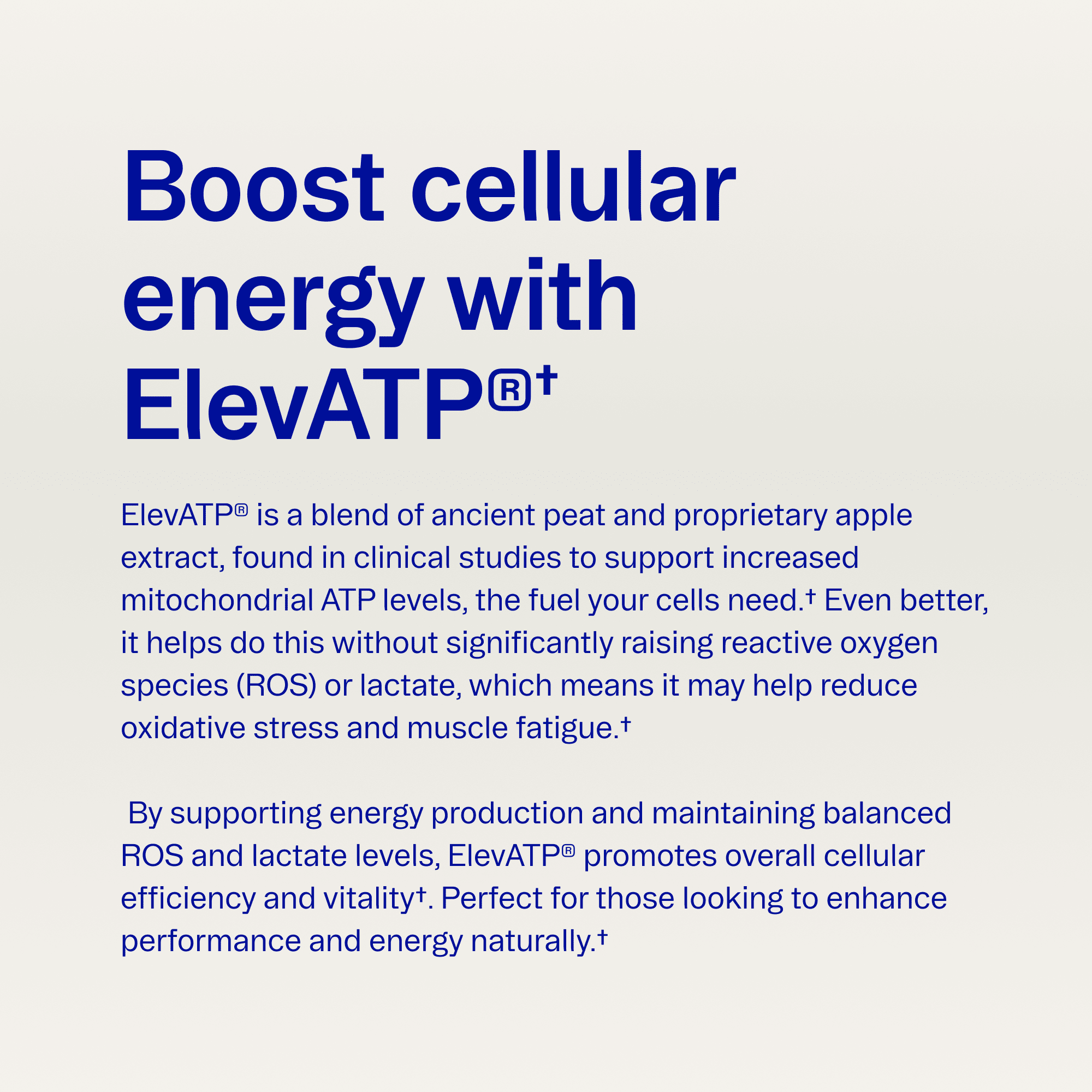 Muscle Memory Creatine Powder - Image 6