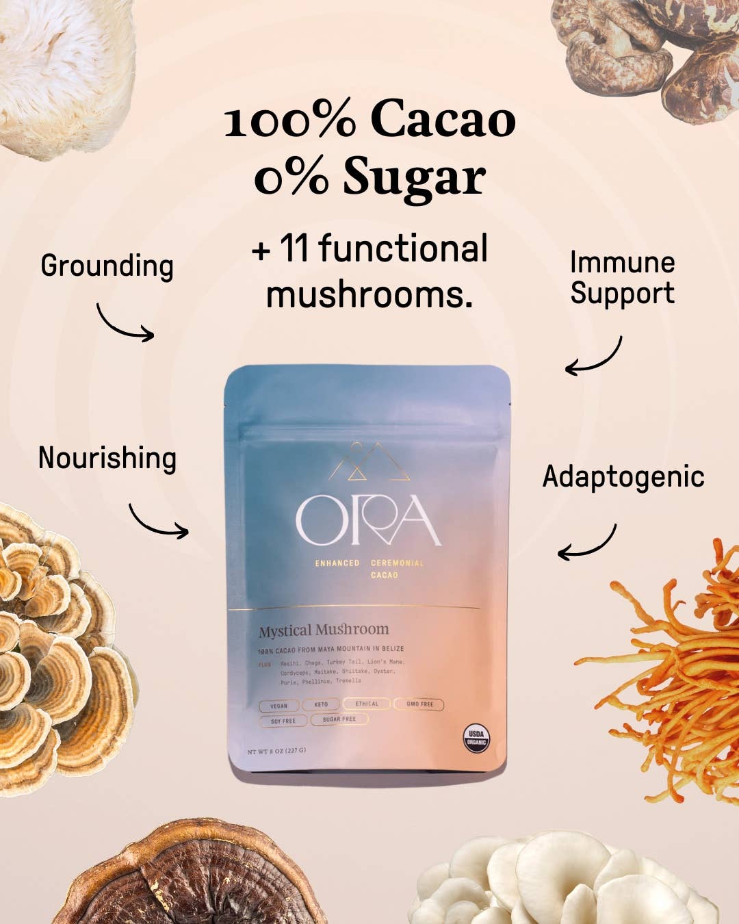 Mystical Mushroom Cacao | Organic Ceremonial Chocolate - Image 4