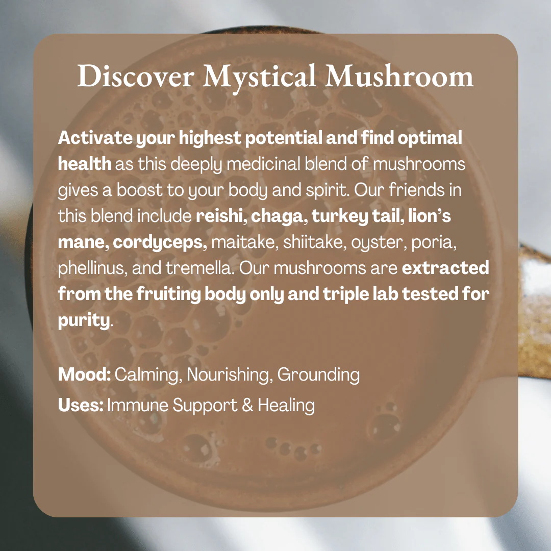Mystical Mushroom Cacao | Organic Ceremonial Chocolate - Image 6