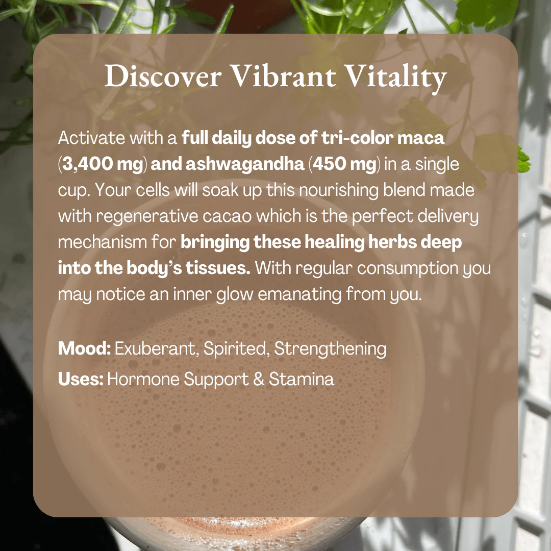 Vibrant Vitality Cacao | Organic Ceremonial Chocolate - Image 7